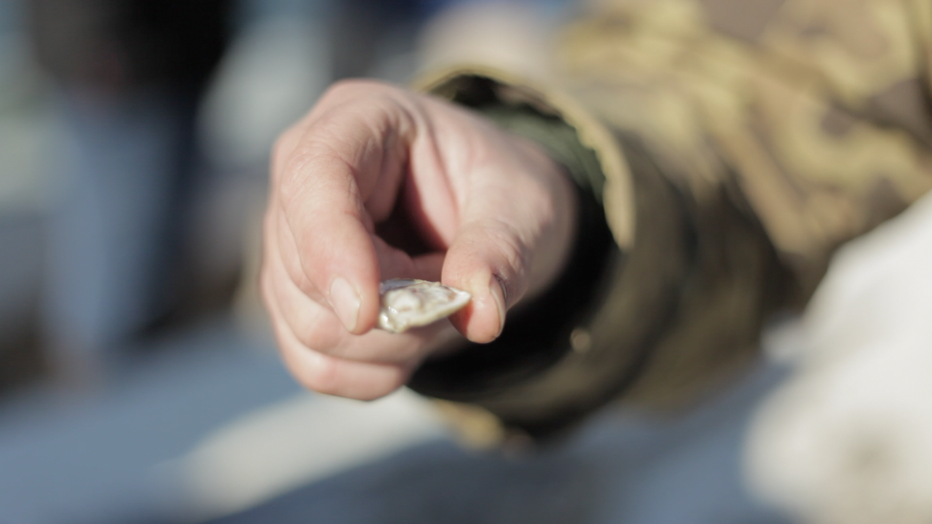 Tangier_OysterHand3.png