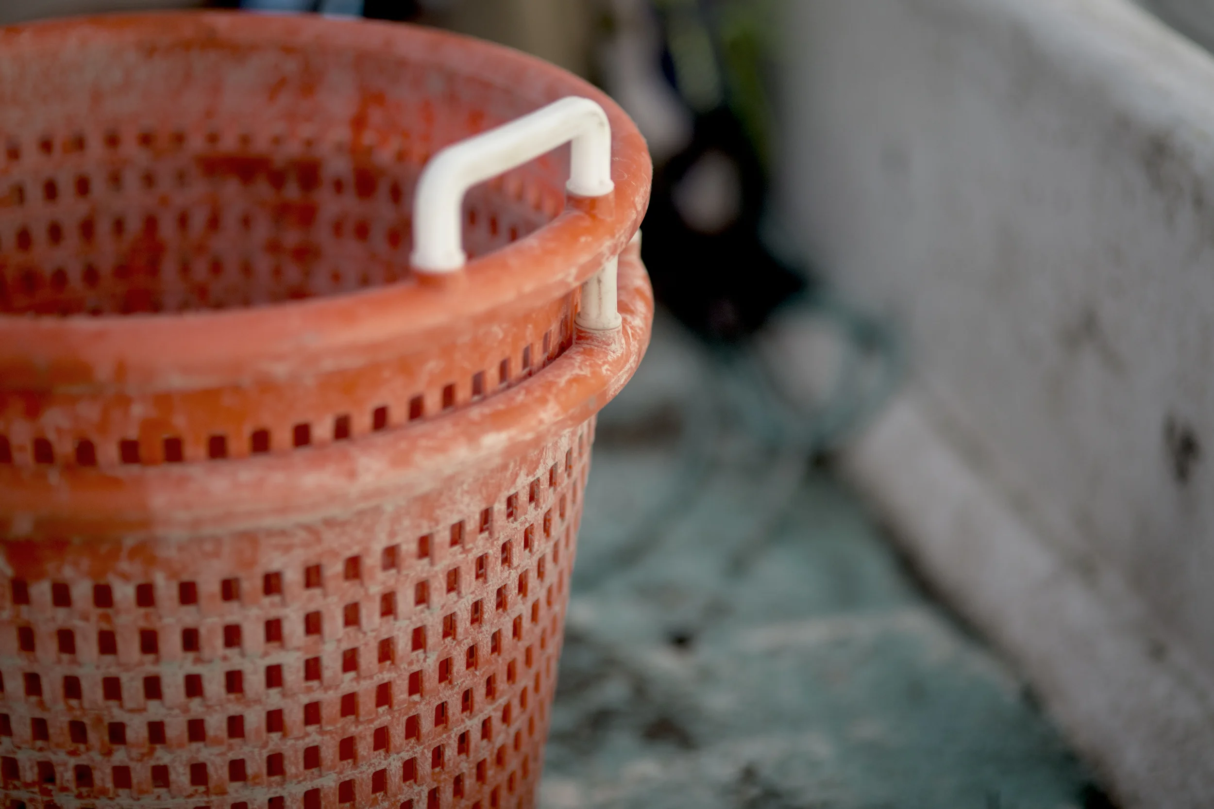 Basket_1Z1A0372.jpg