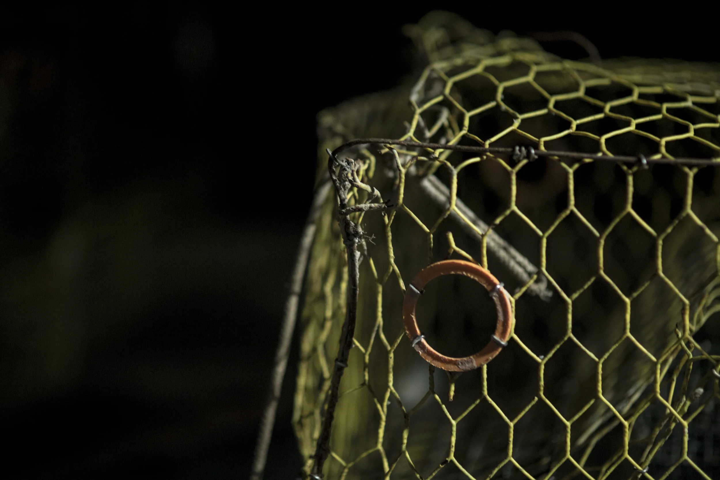 CrabPot_Z1A0083.jpg