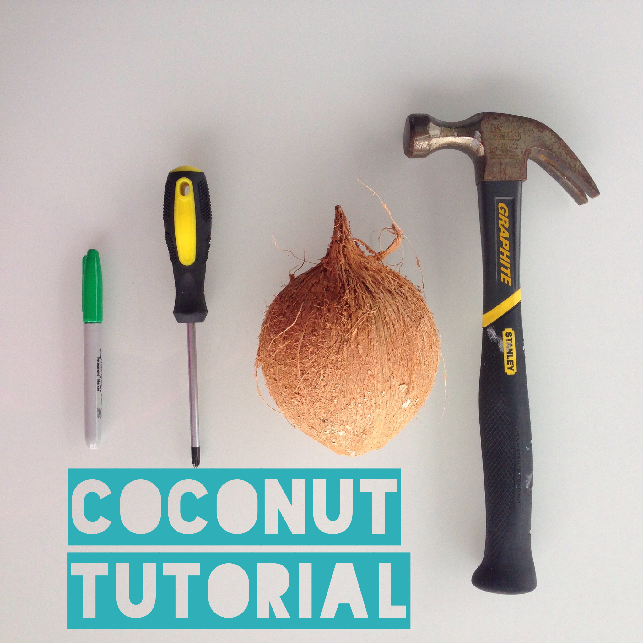 Coconut Tutorial