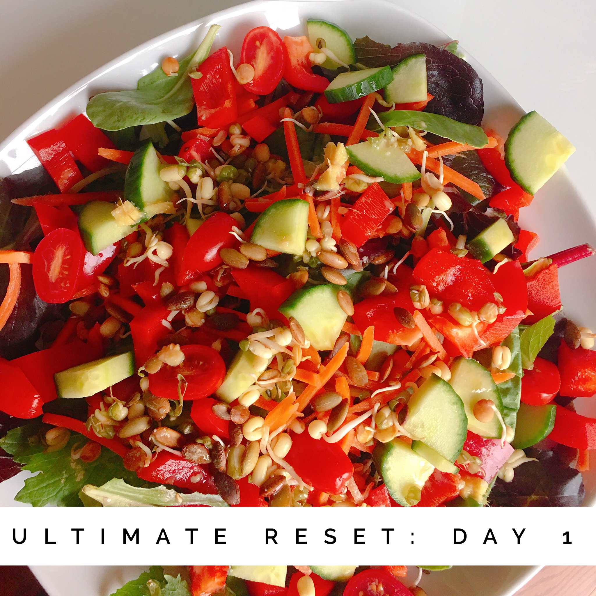 Ultimate Reset: Day 1