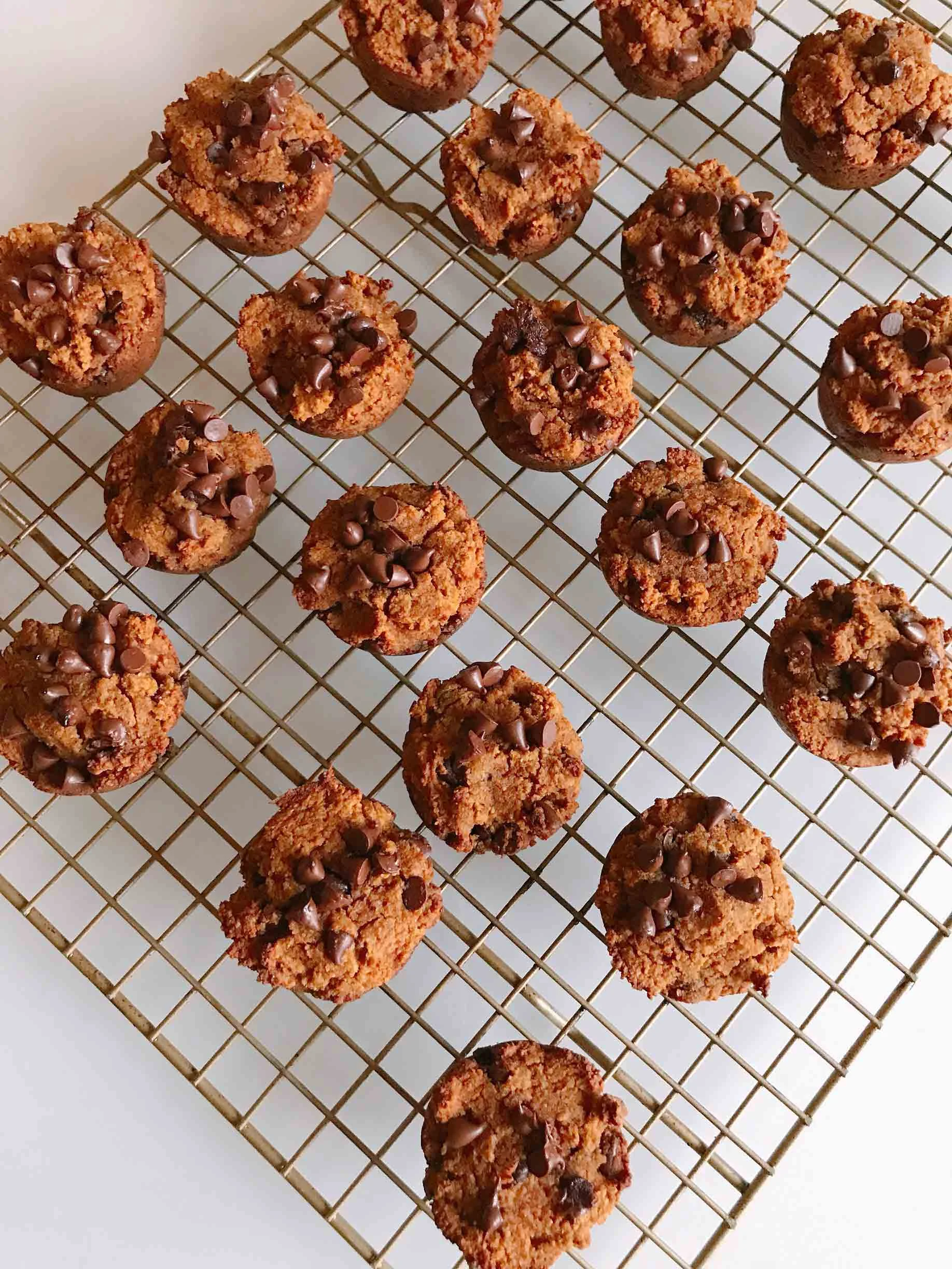 ashly-locklin-paleo-pumpkin-chocolate-chip-muffins-3.jpg