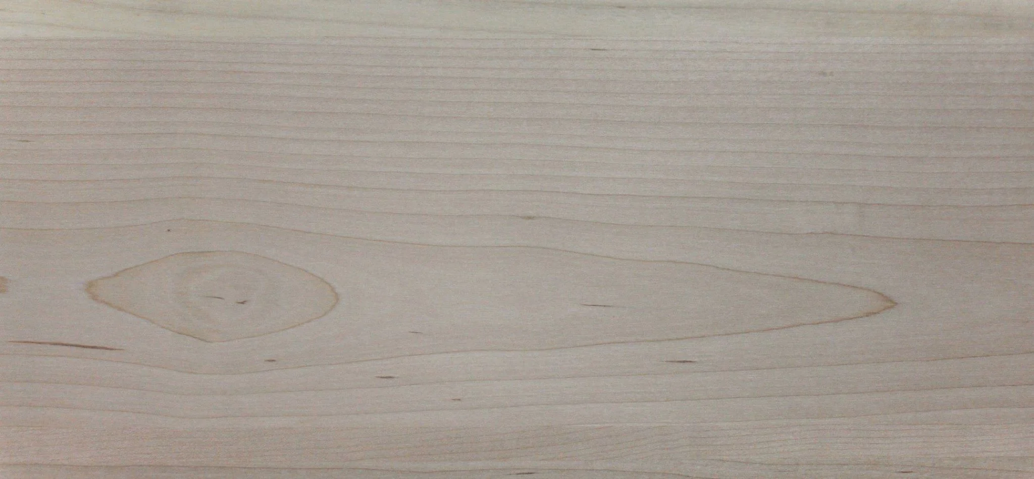 WHITE MAPLE