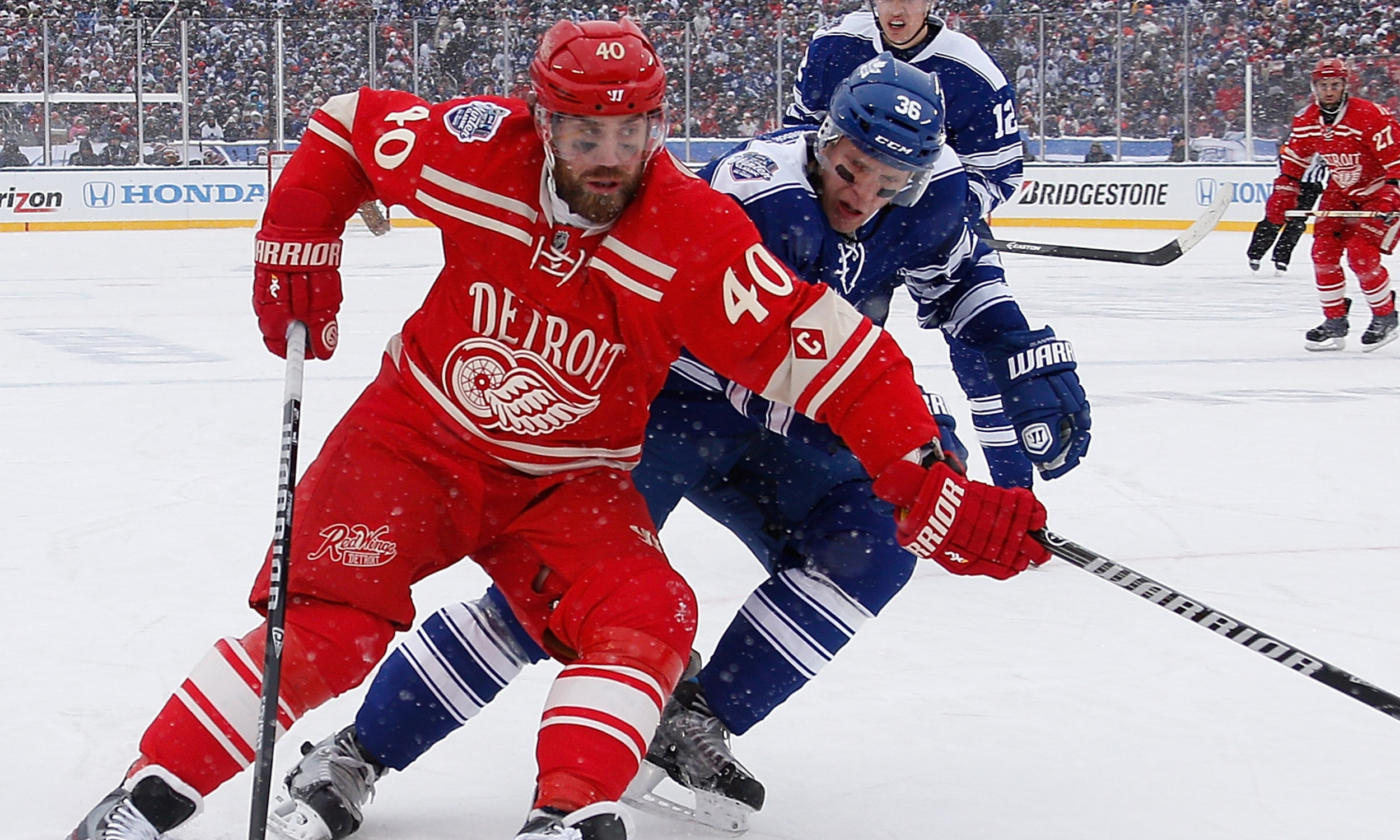 nhl_det1.jpg
