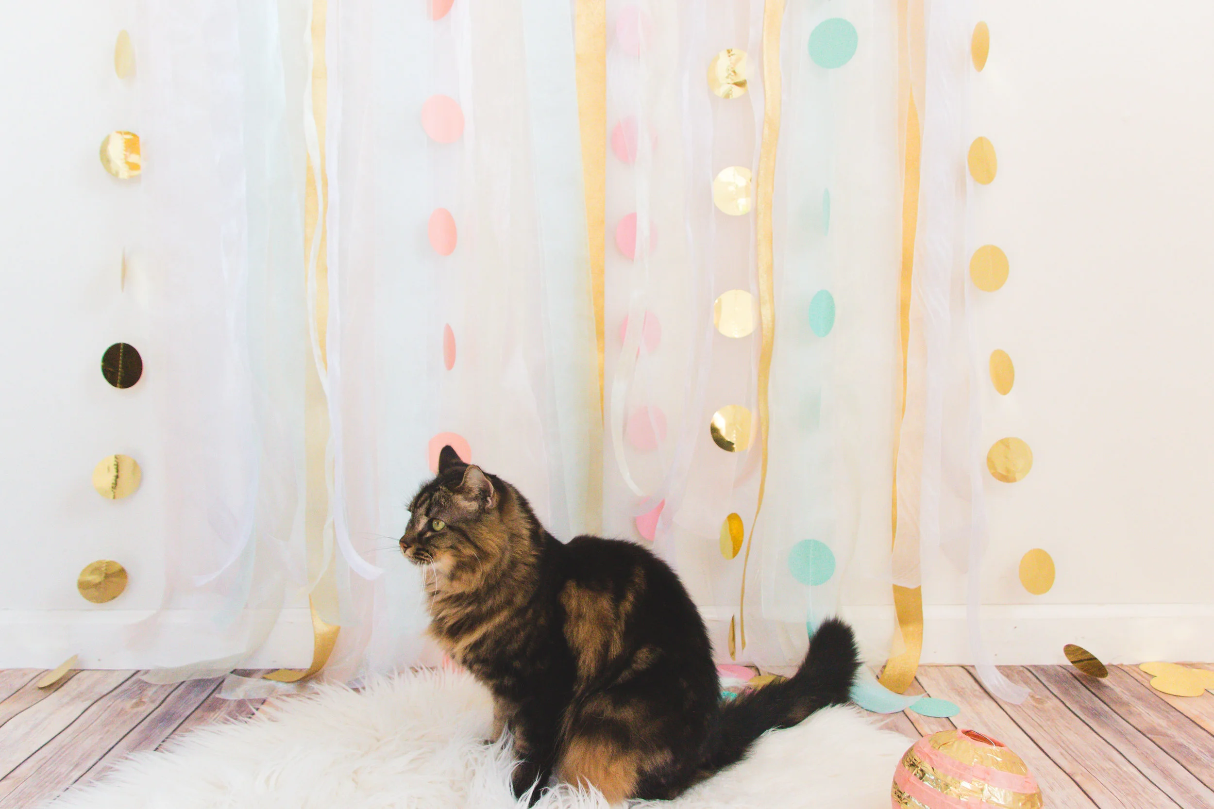 Katherinekcagle_Eloise_Backdrop-10-2.jpg