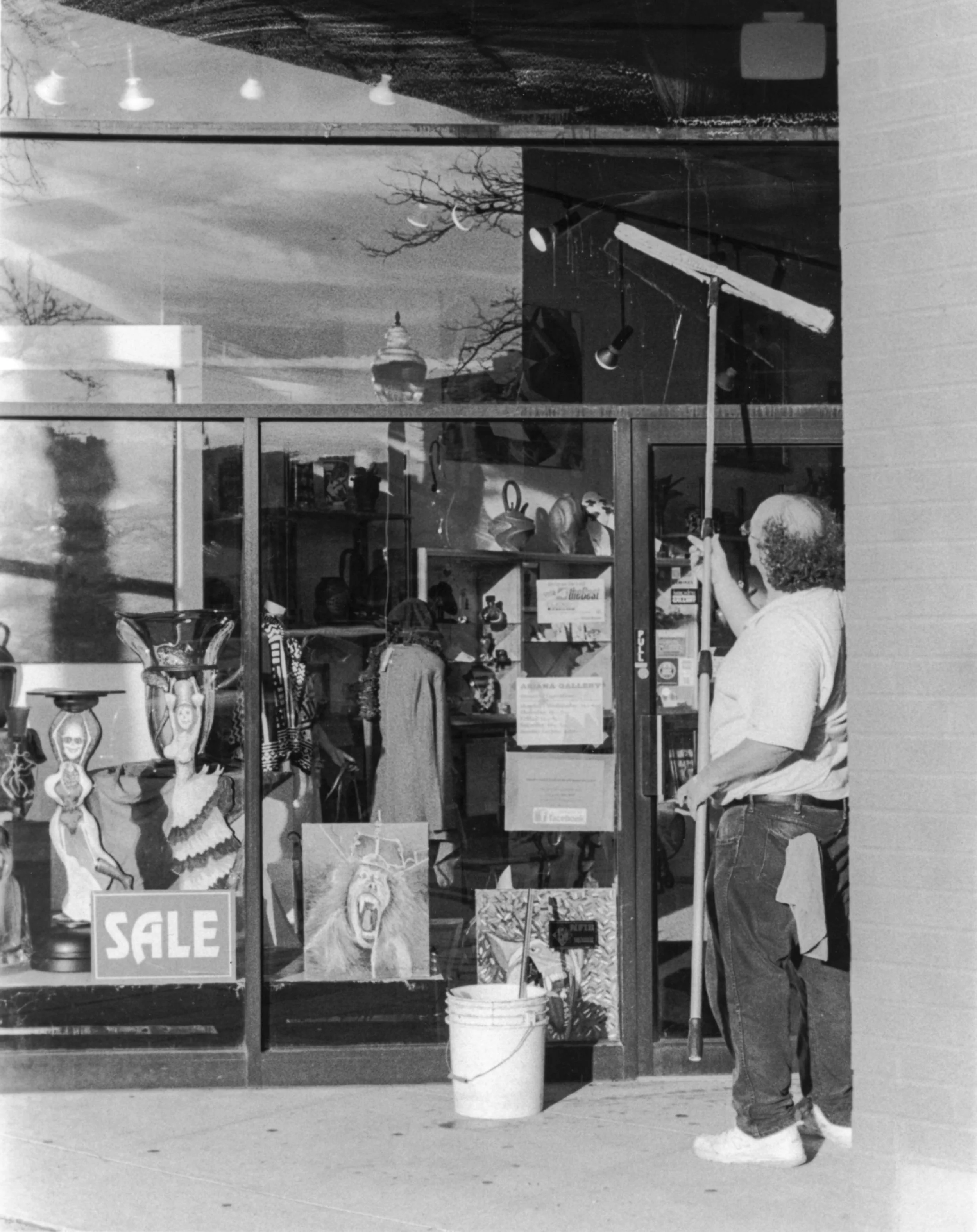 Window Washer - Royal Oak, Mi