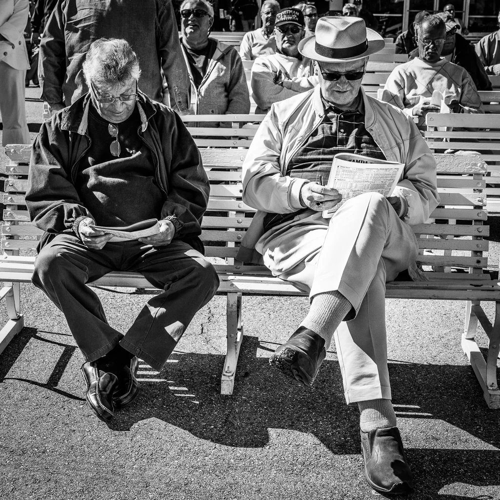 Day at the Races. Tampa Bay Downs 2017