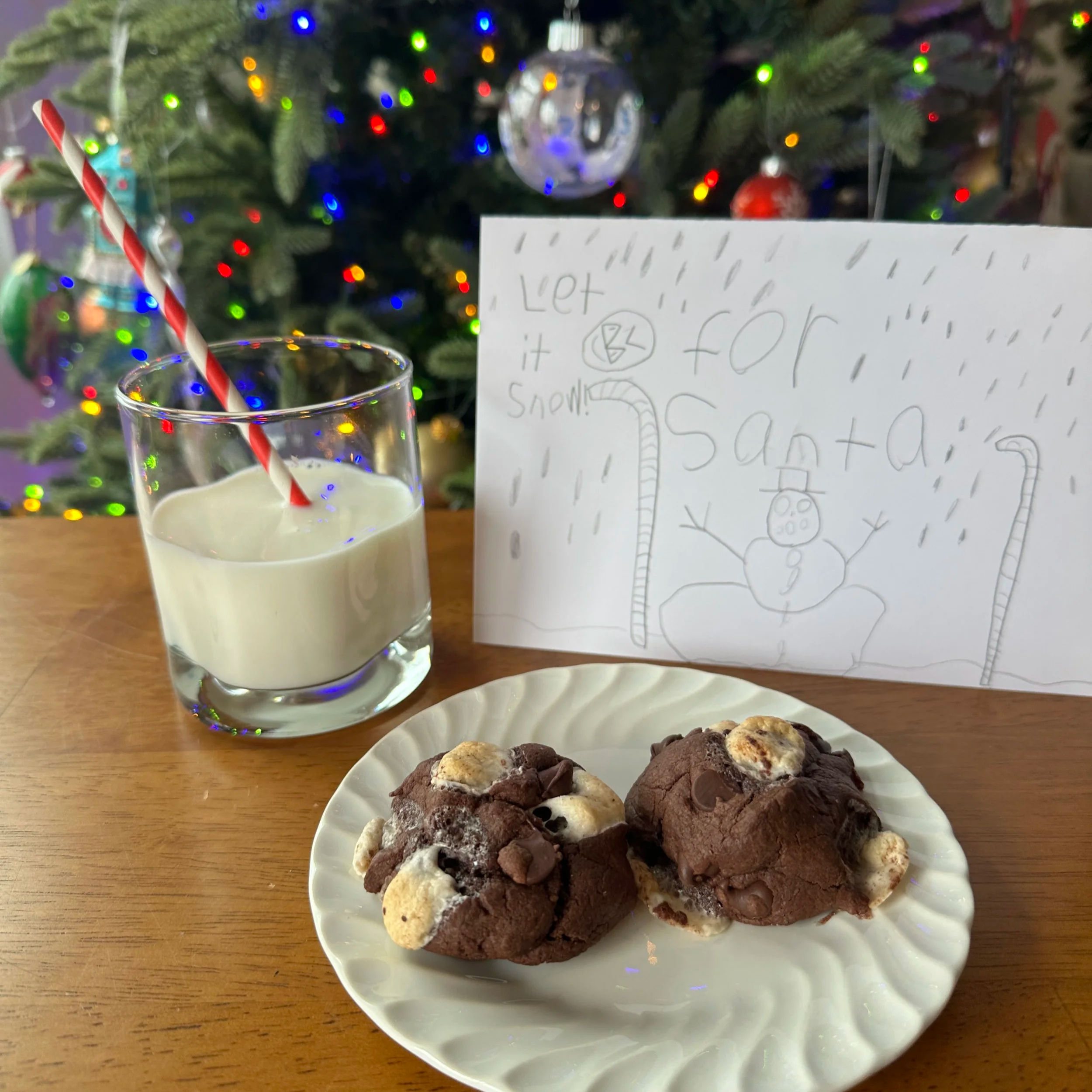Smallish Sweets - Brownie Cookies with Chocolate Chips &amp; Marshmallows