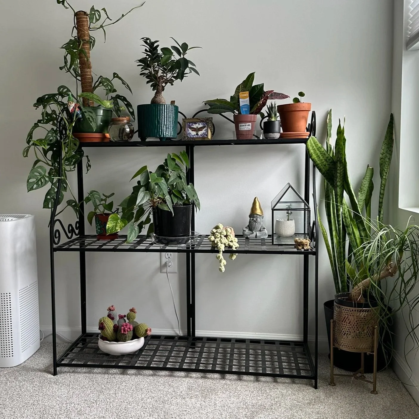 The Weekend I Stopped Wanting a Bigger House