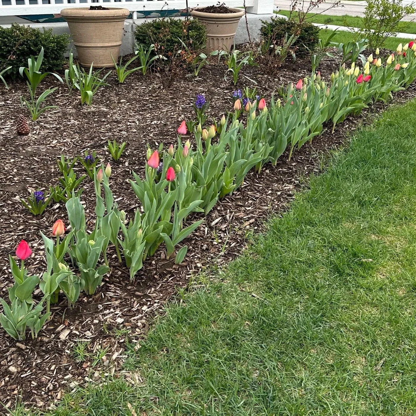 A Smallish April: Finding Joy in Everyday Moments