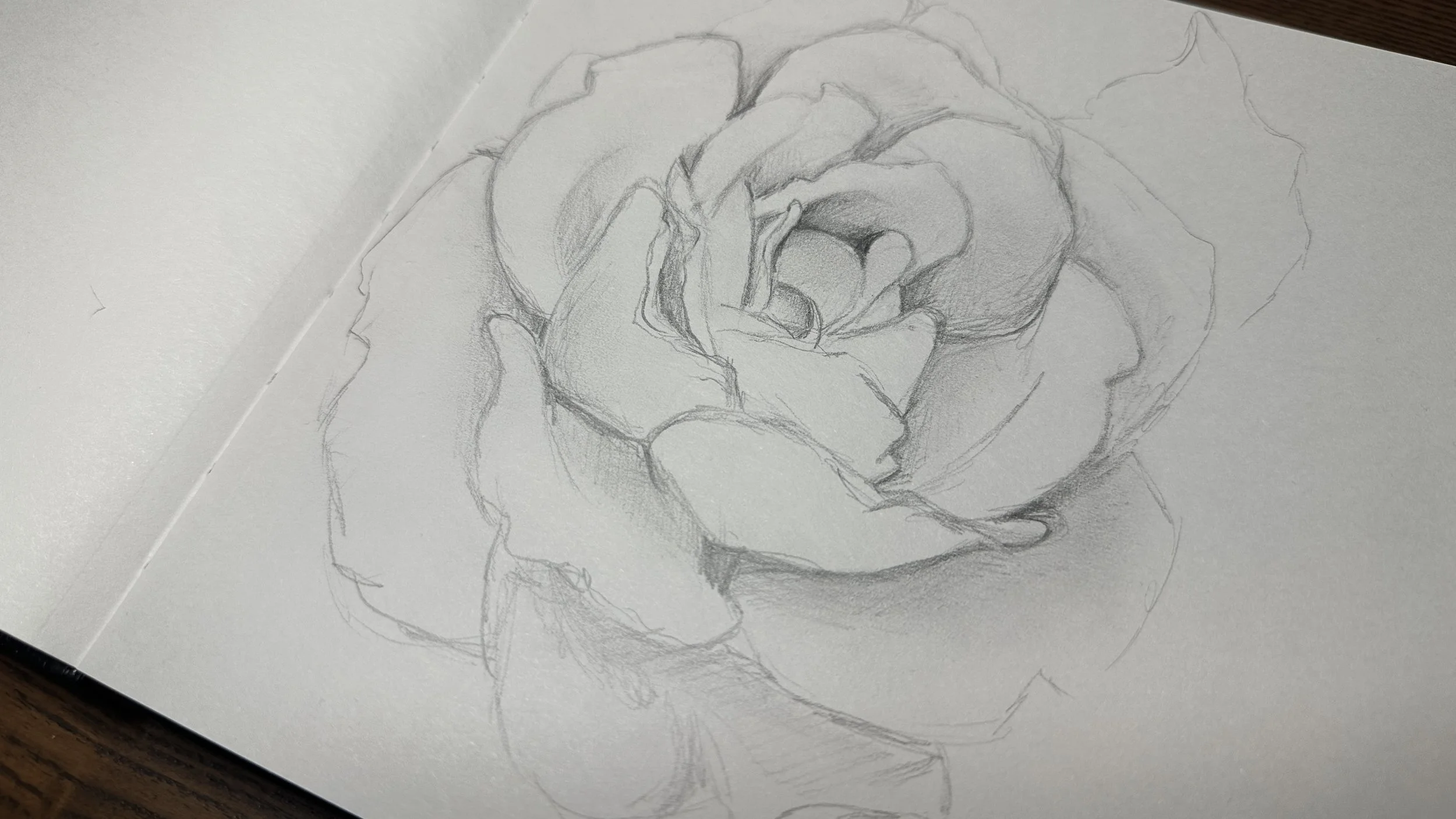 Graphite rose sketch in artist sketchbook on table
