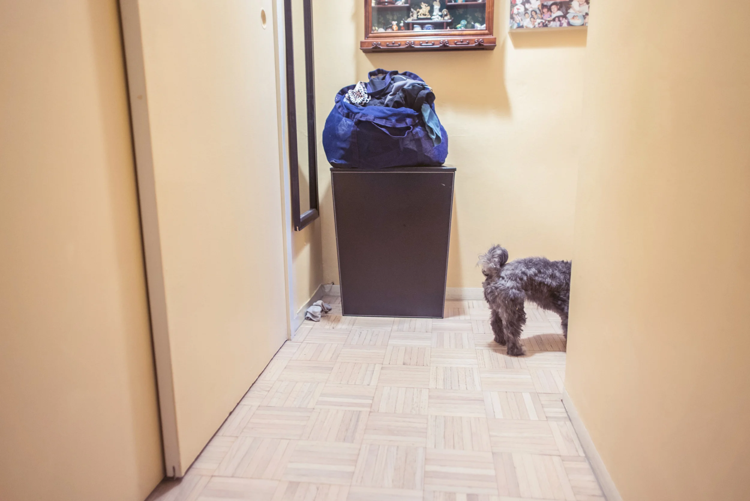 FianderFoto_Huang_Lum_364.JPG