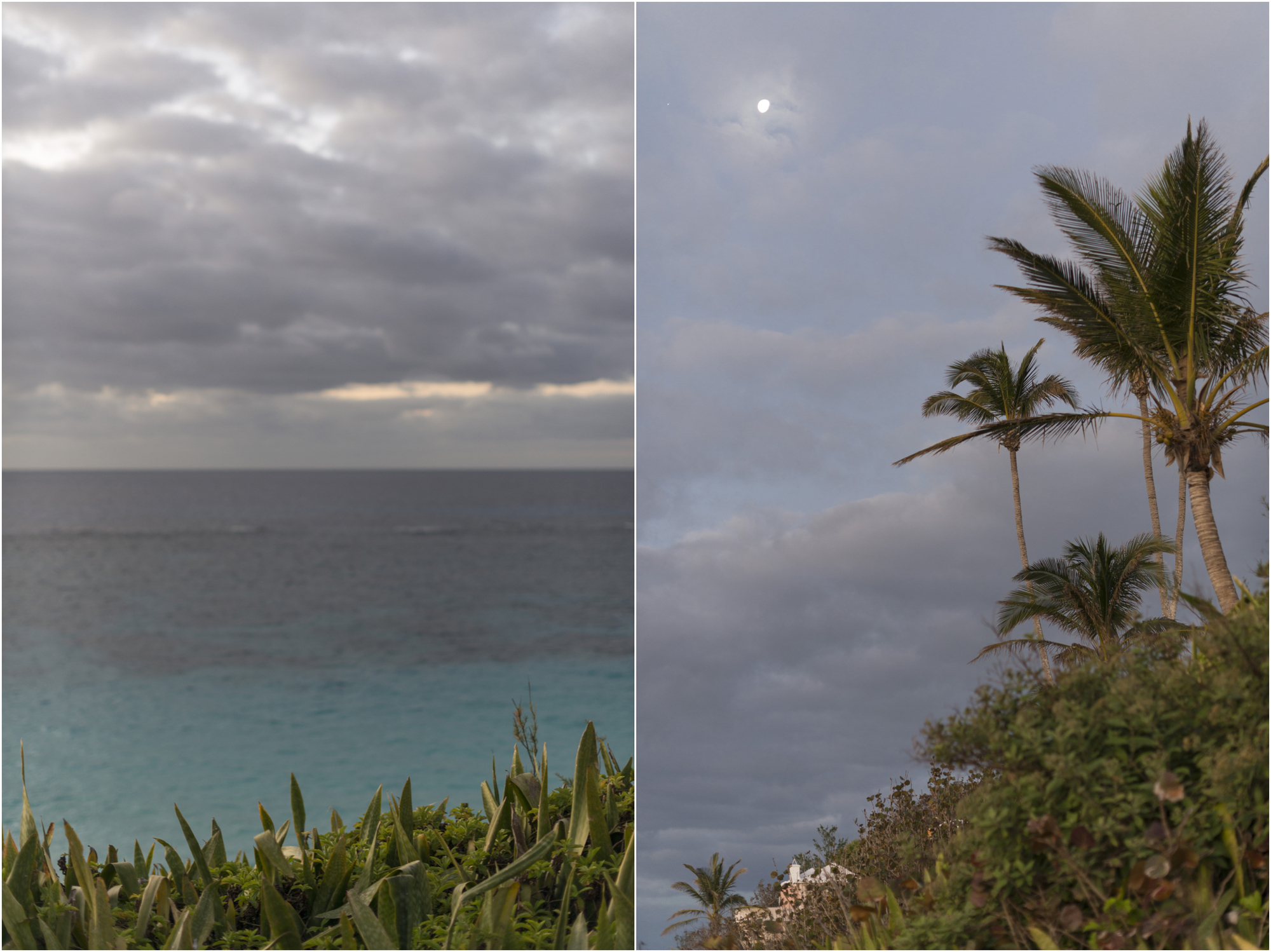 ©FianderFoto_Coral Beach_1.jpg