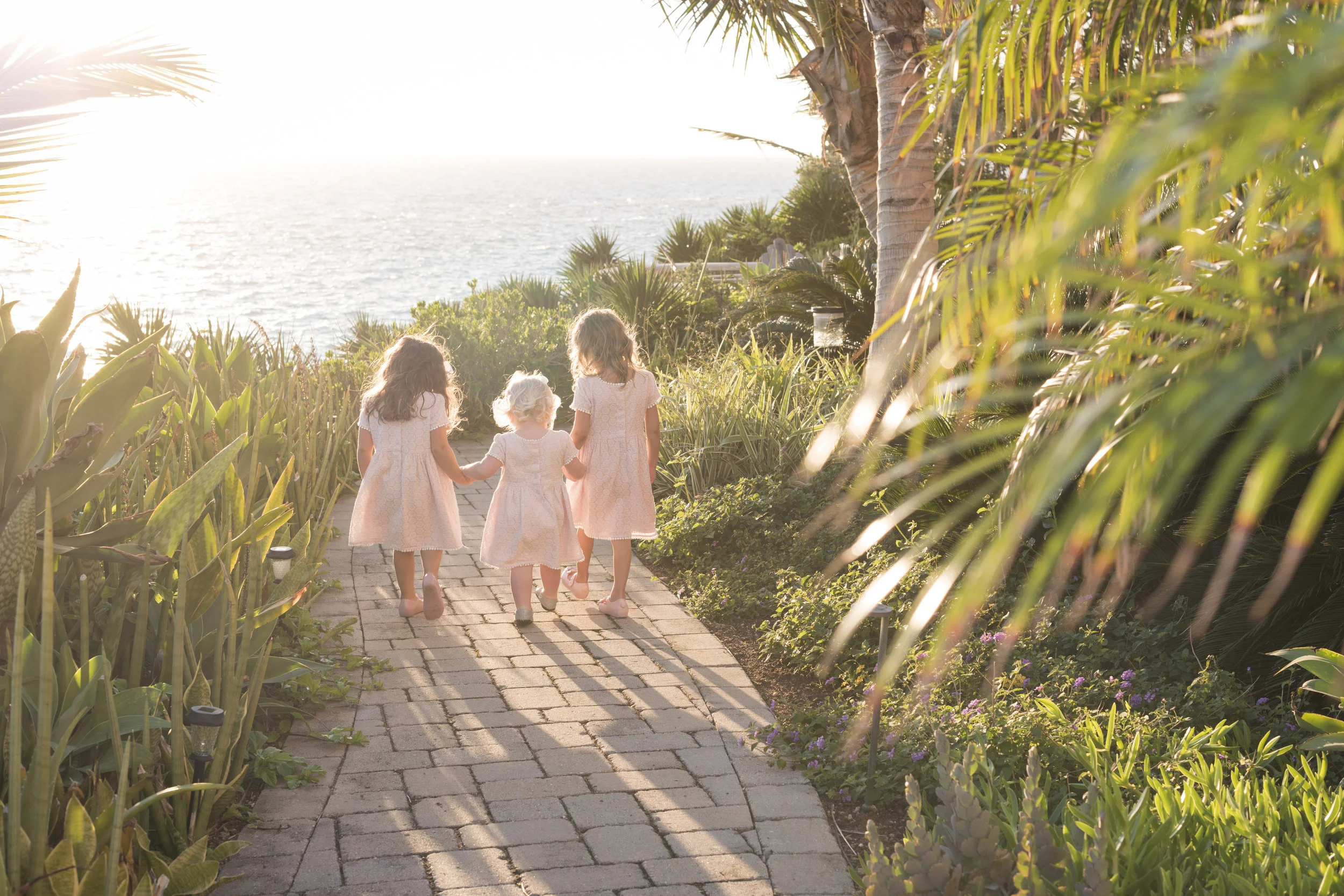 Natural Light &amp; The Golden Hour