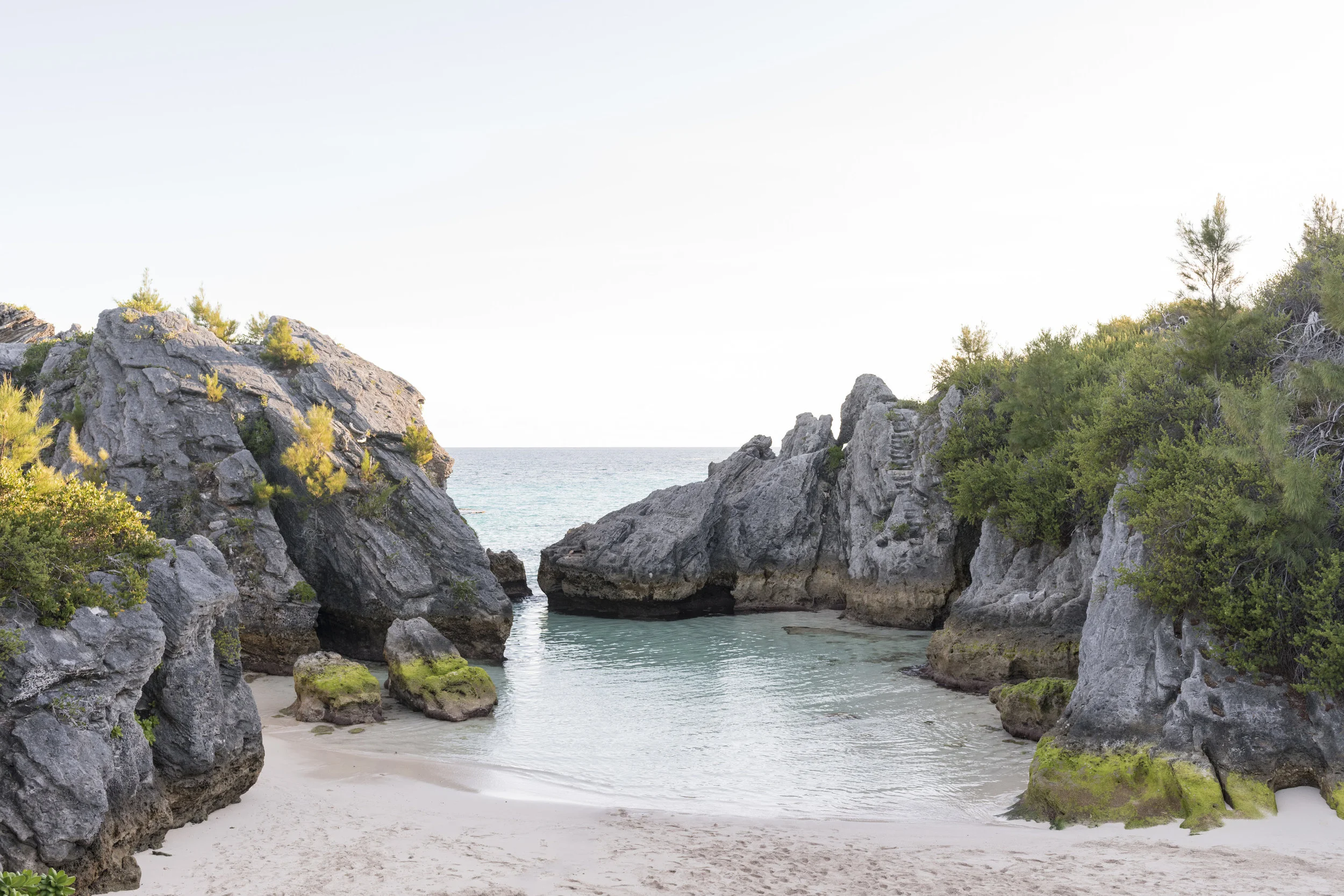 Workshop: Beach Life