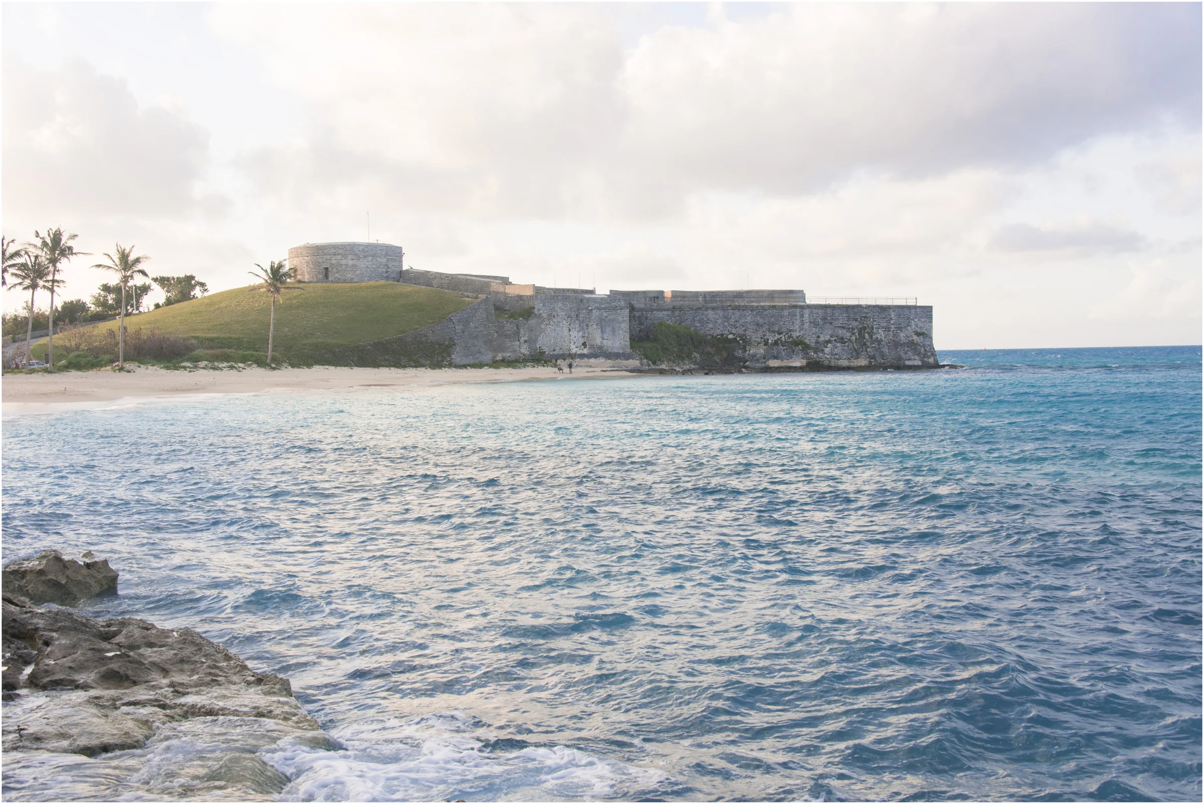 Mentorship or Workshop: Booking Details