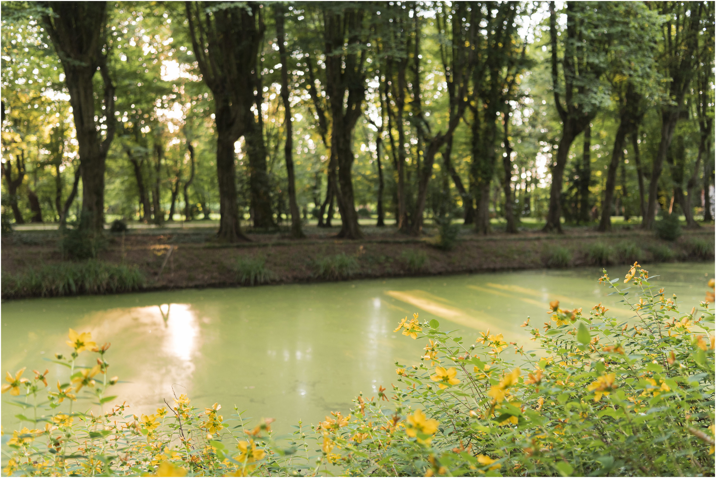 ©FianderFoto_Chira_Gigi_Wedding_Italy_059.jpg