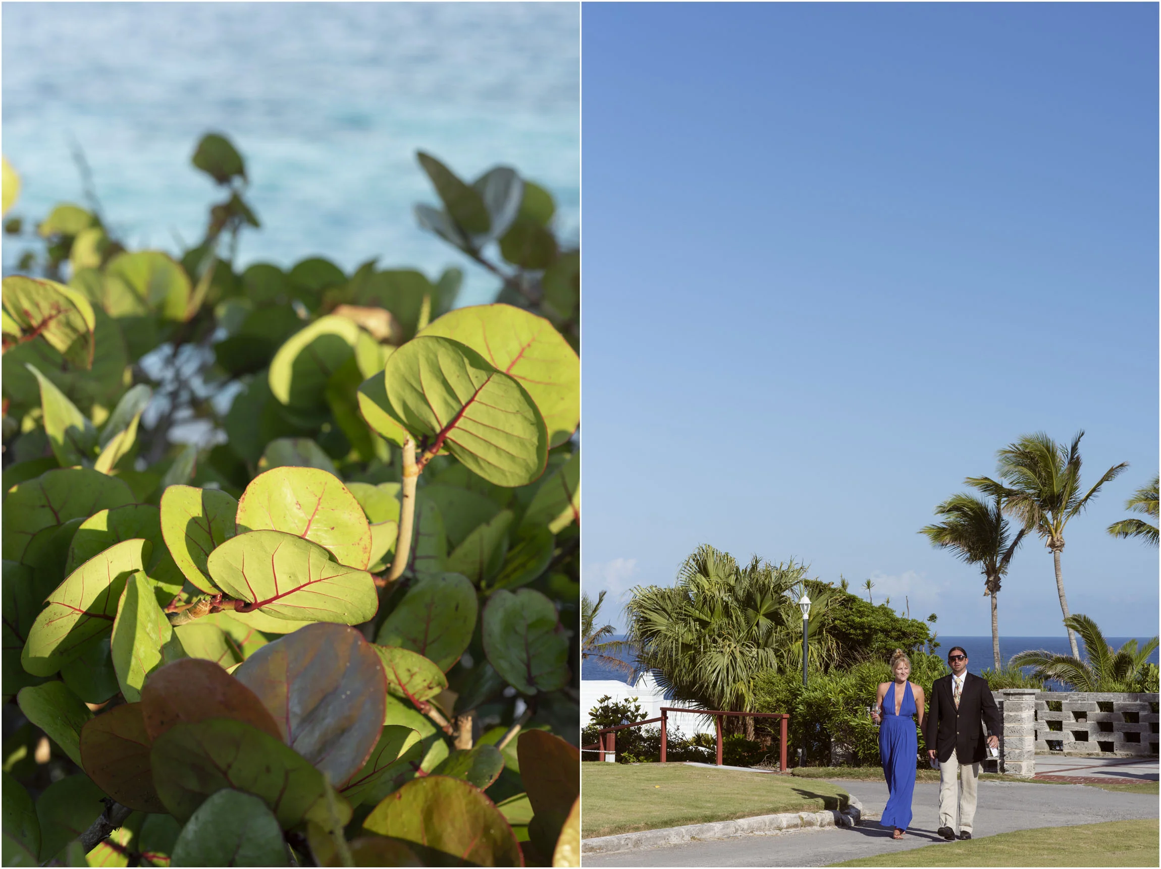 ©FianderFoto_Catherine_Kenny_Coral Beach Wedding_179.jpg