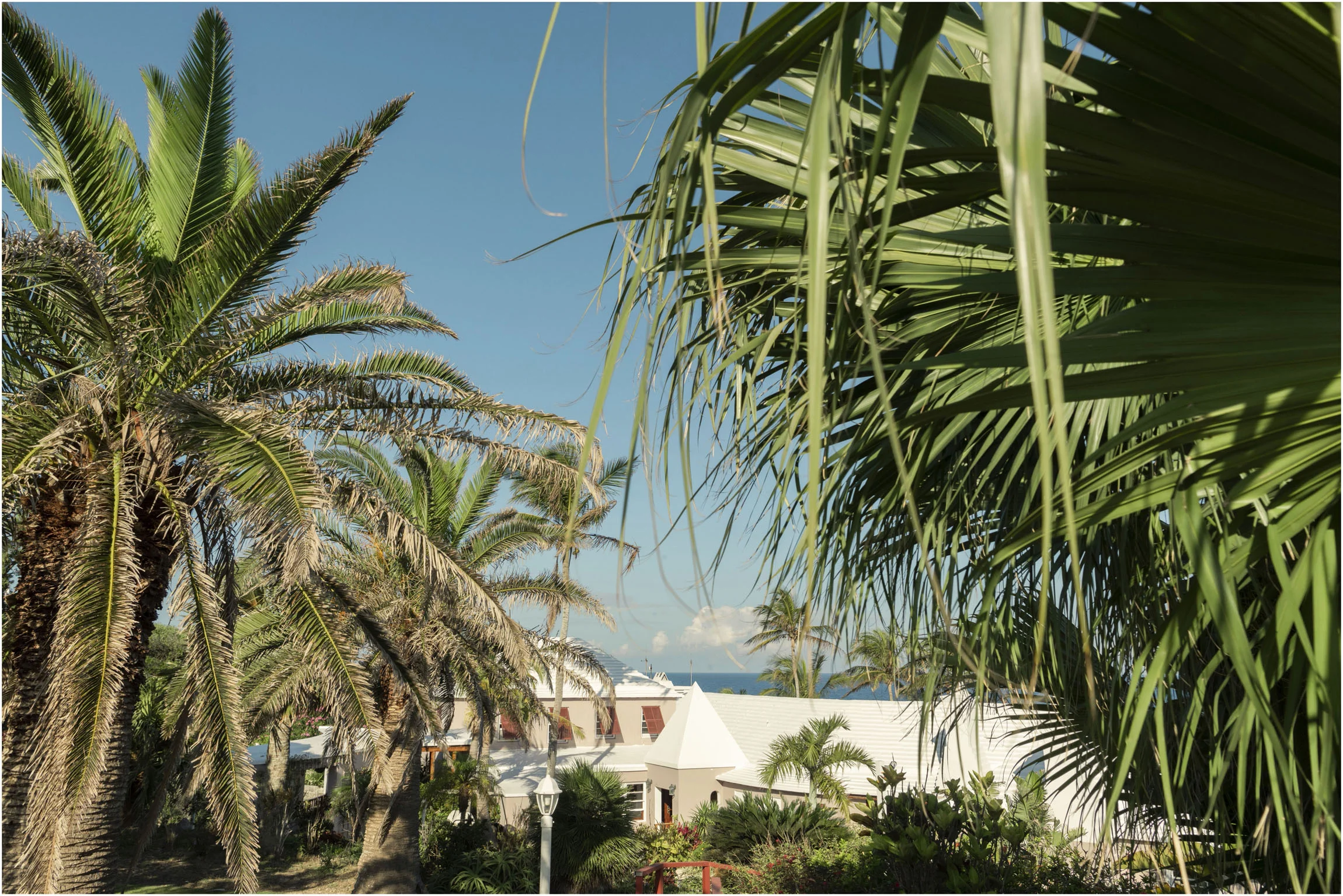©FianderFoto_Catherine_Kenny_Coral Beach Wedding_181.jpg
