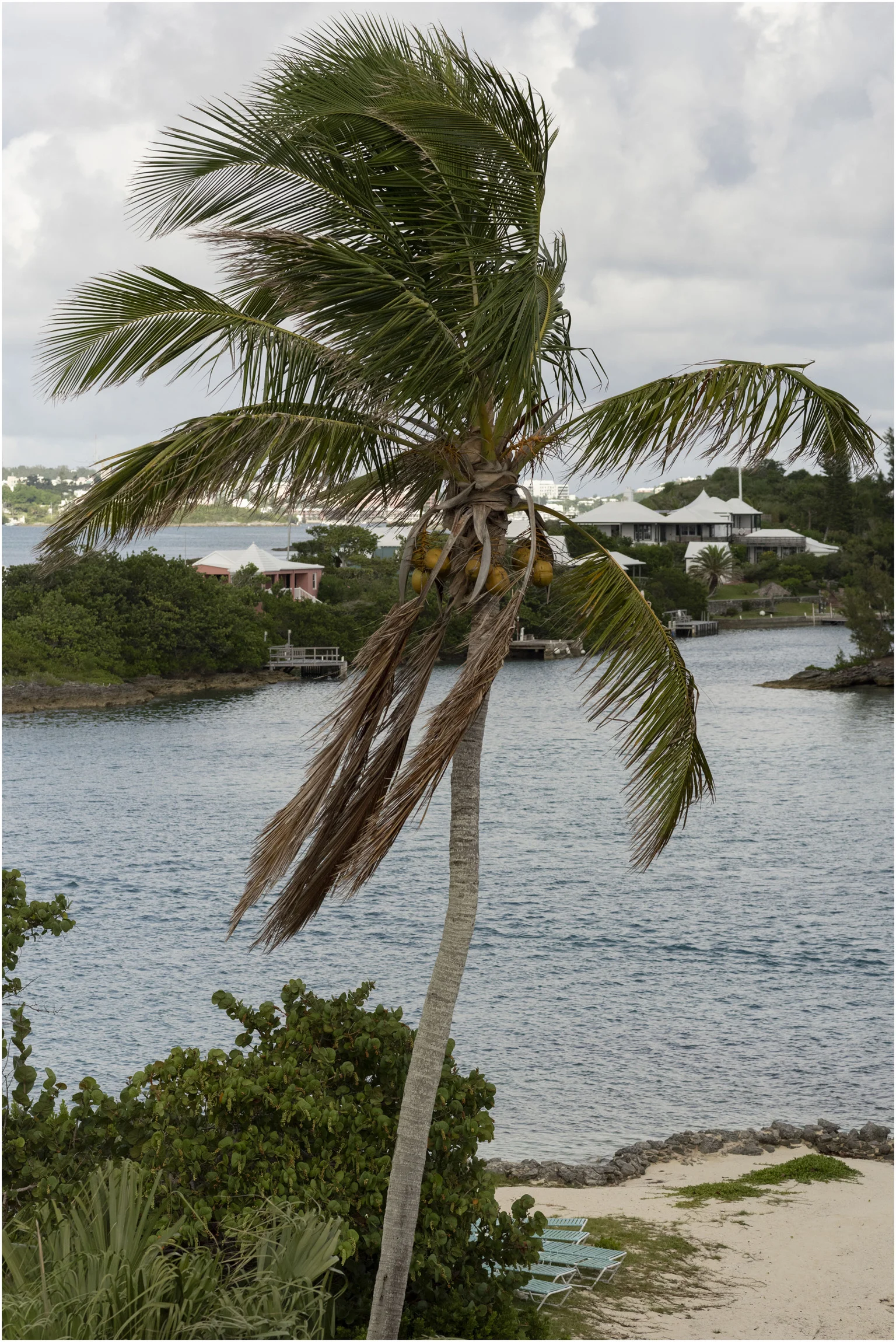 ©FianderFoto_Bermuda_Wedding_Photographer_Long_Island_Bermuda_Nancy_Ray_006.jpg