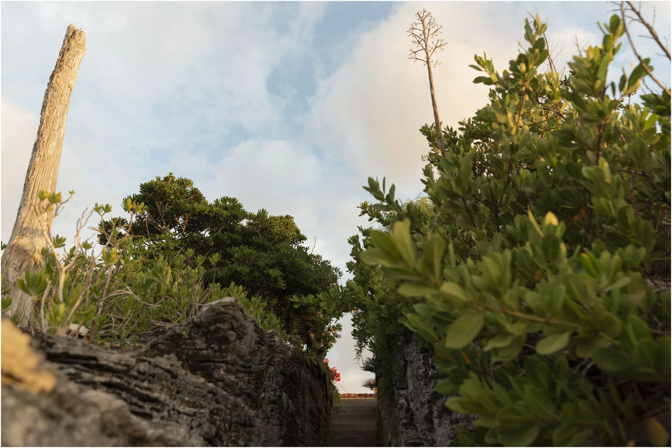 ©FianderFoto_Bermuda_Wedding_Photographer_Long_Island_Bermuda_Nancy_Ray_102.jpg
