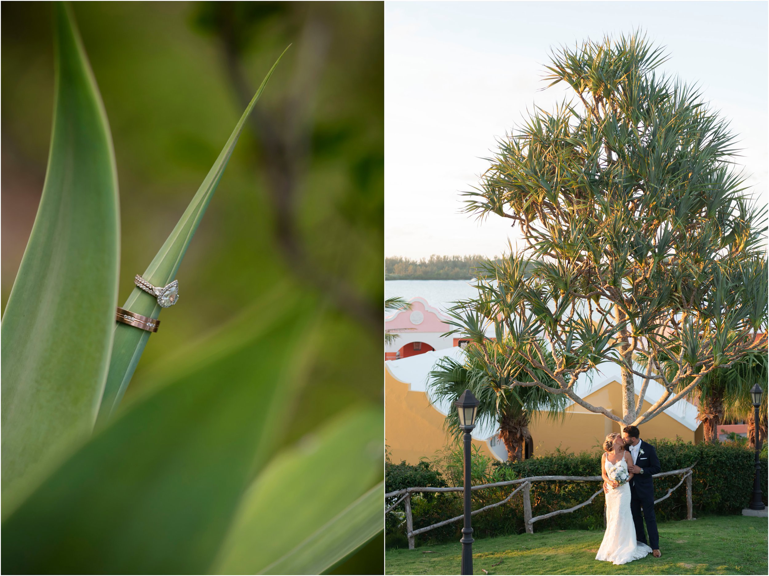 ©FianderFoto_Destination_Wedding_Photographer_Bermuda_Wedding_Photographer_Jaclyn_Anthony__Grotto Bay_116.jpg