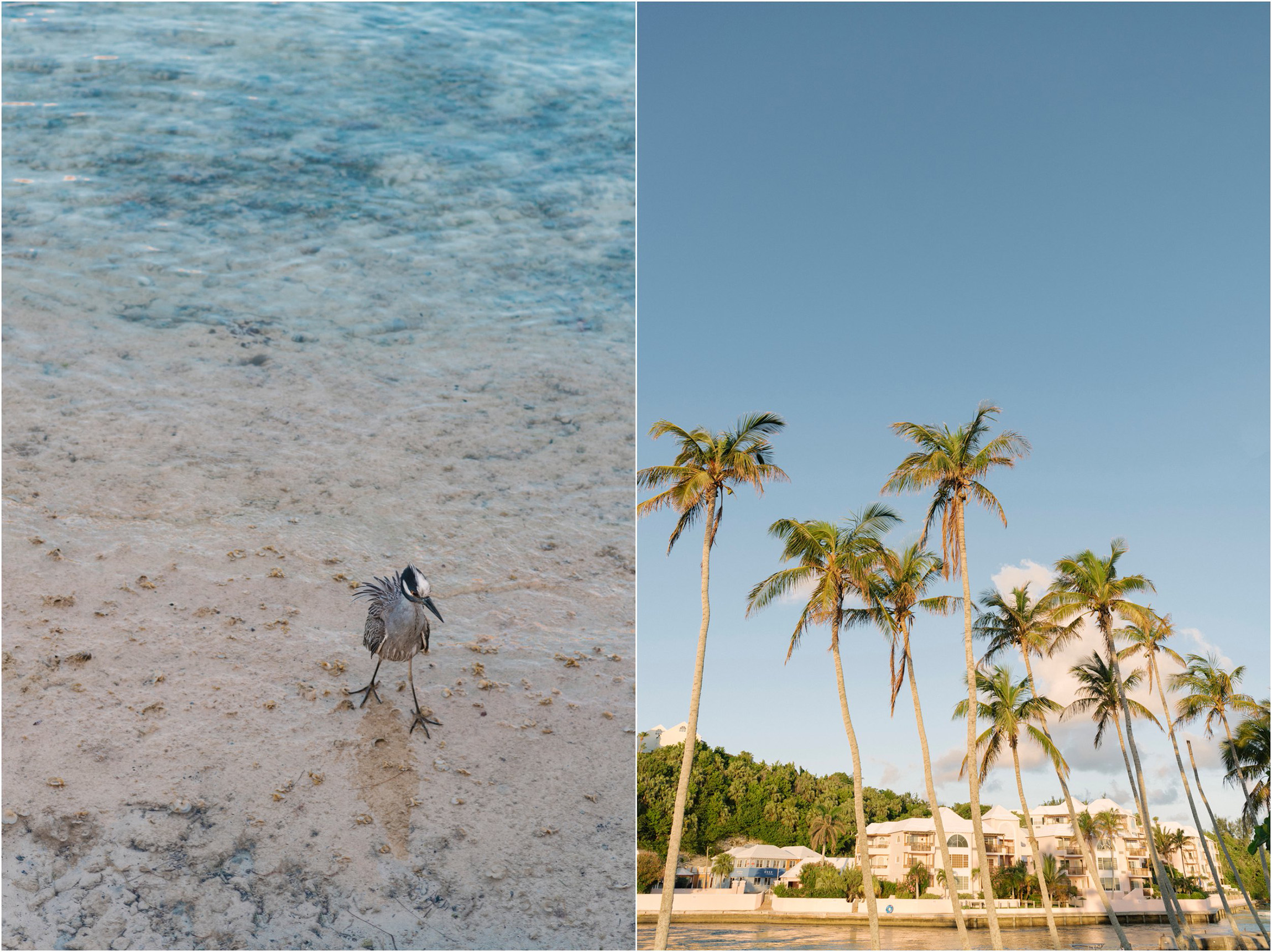 ©FianderFoto_Bermuda Photographer_Flatts Village_Cooper's Island_Andrea_001.jpg