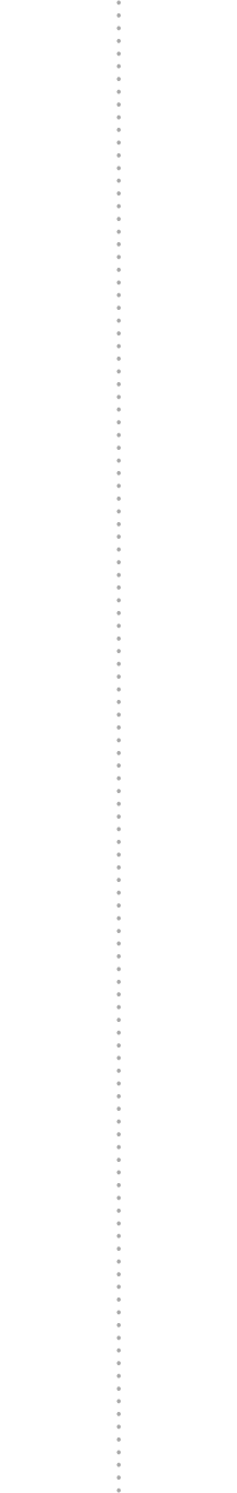 Vertical Divider.png