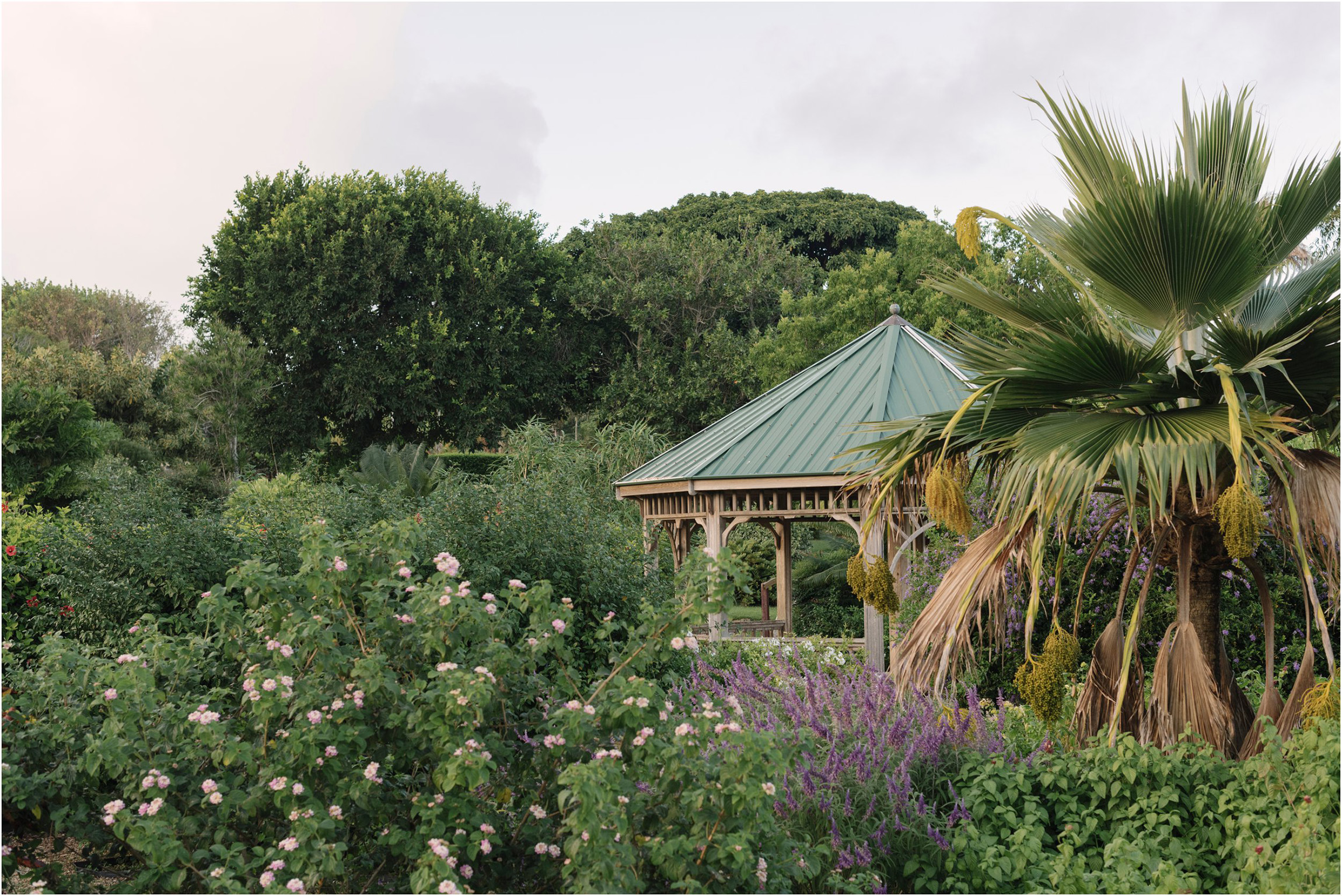 ©FianderFoto_Bermuda Family Photogarpher_Botanical Gardens_Amaro_004.jpg