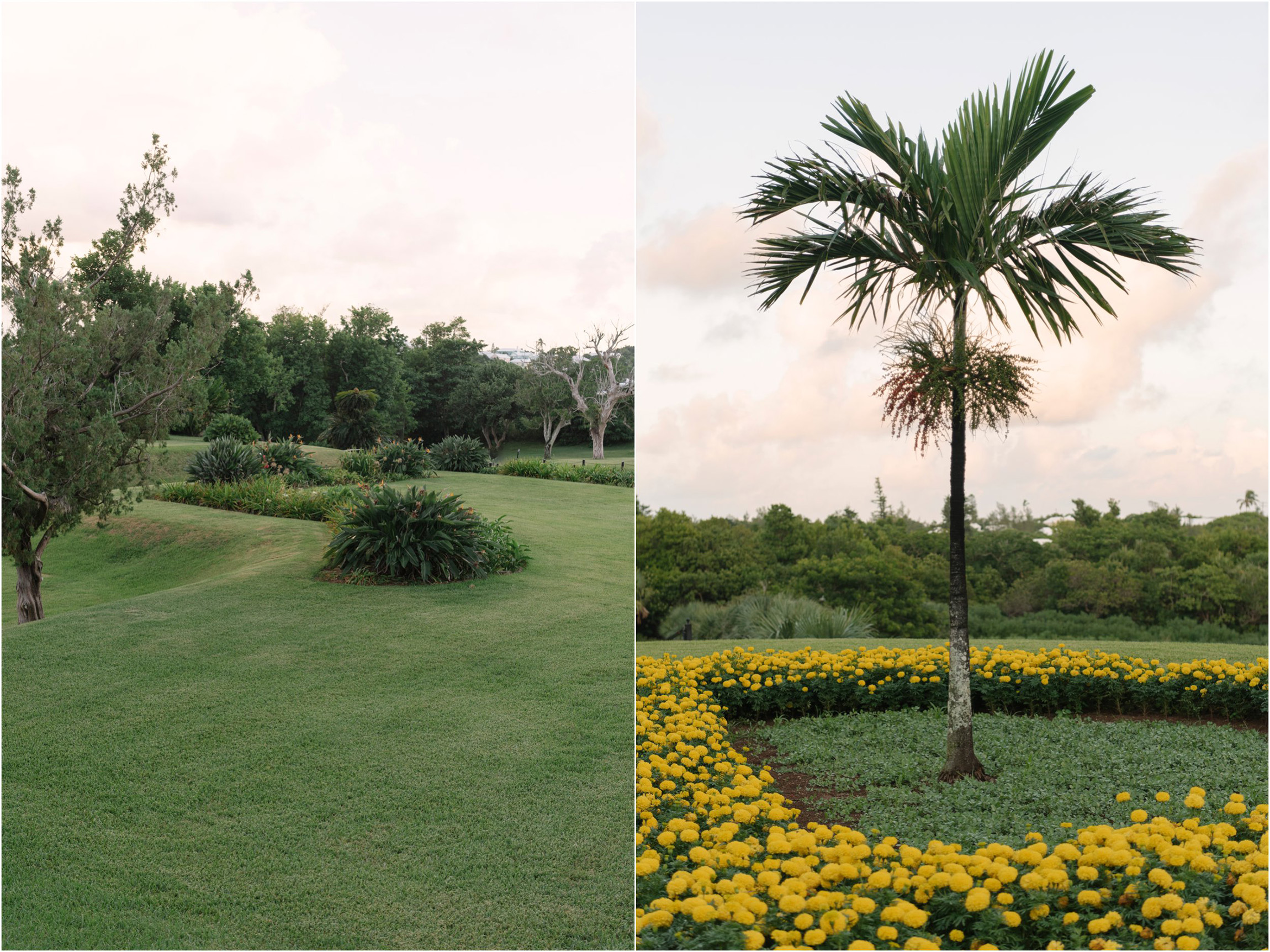 ©FianderFoto_Bermuda Family Photogarpher_Botanical Gardens_Amaro_013.jpg