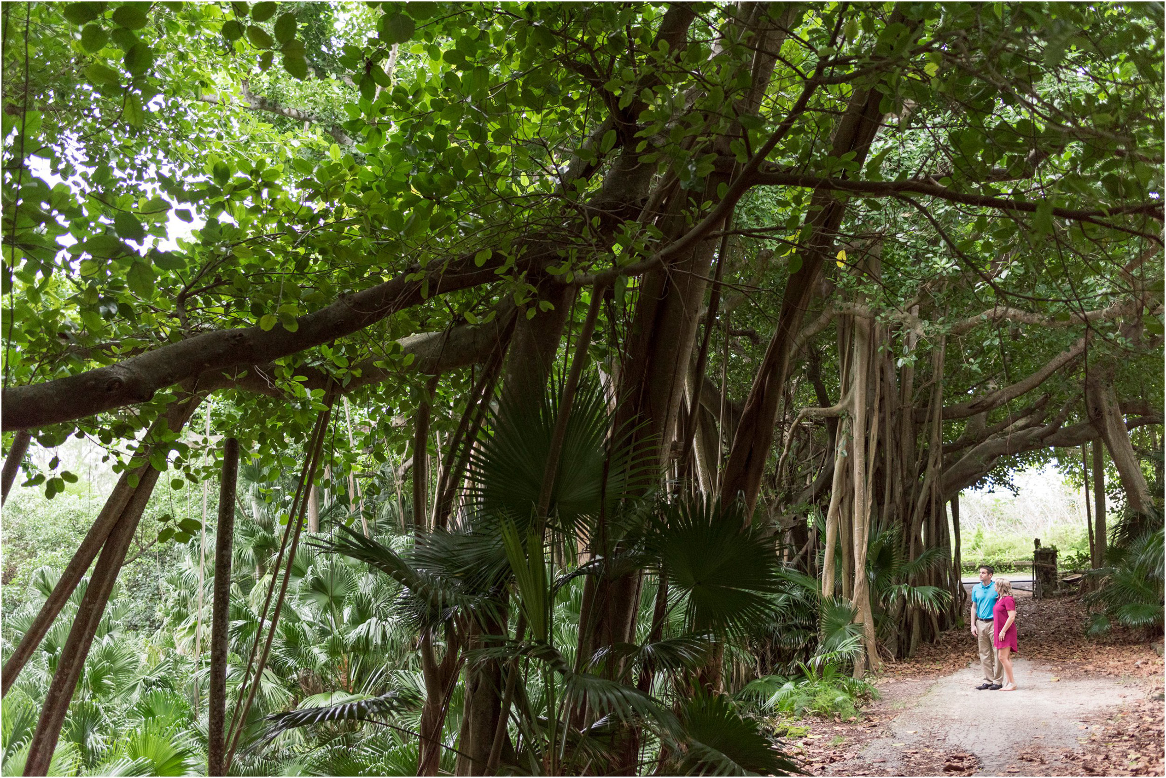 ©FianderFoto_Bermuda Photographer_Astwood Park_Vanessa_Kevin_019.jpg