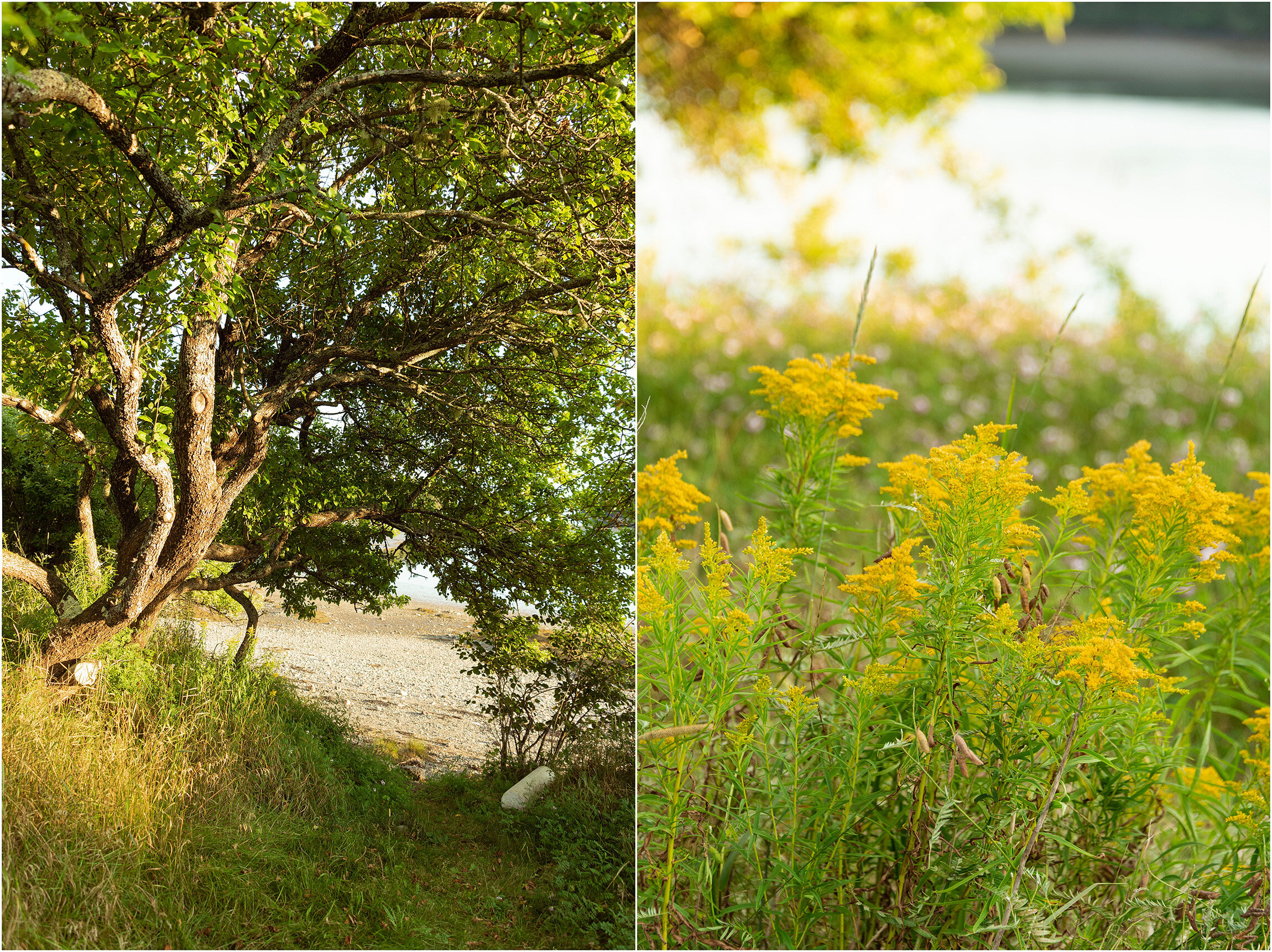 ©FianderFoto_New Brunswick Canada Photographer_056.jpg