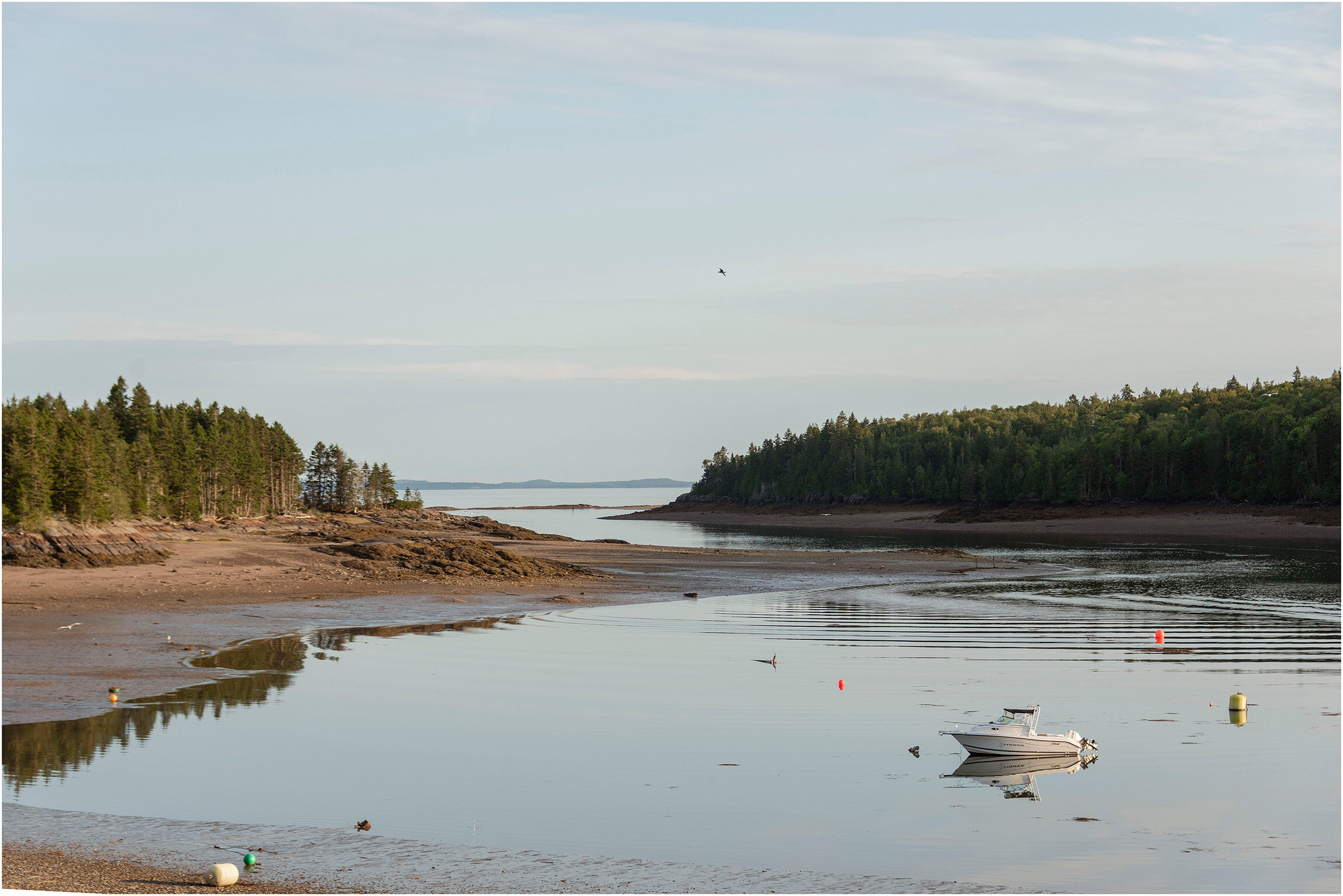 ©FianderFoto_New Brunswick Canada Photographer_060.jpg