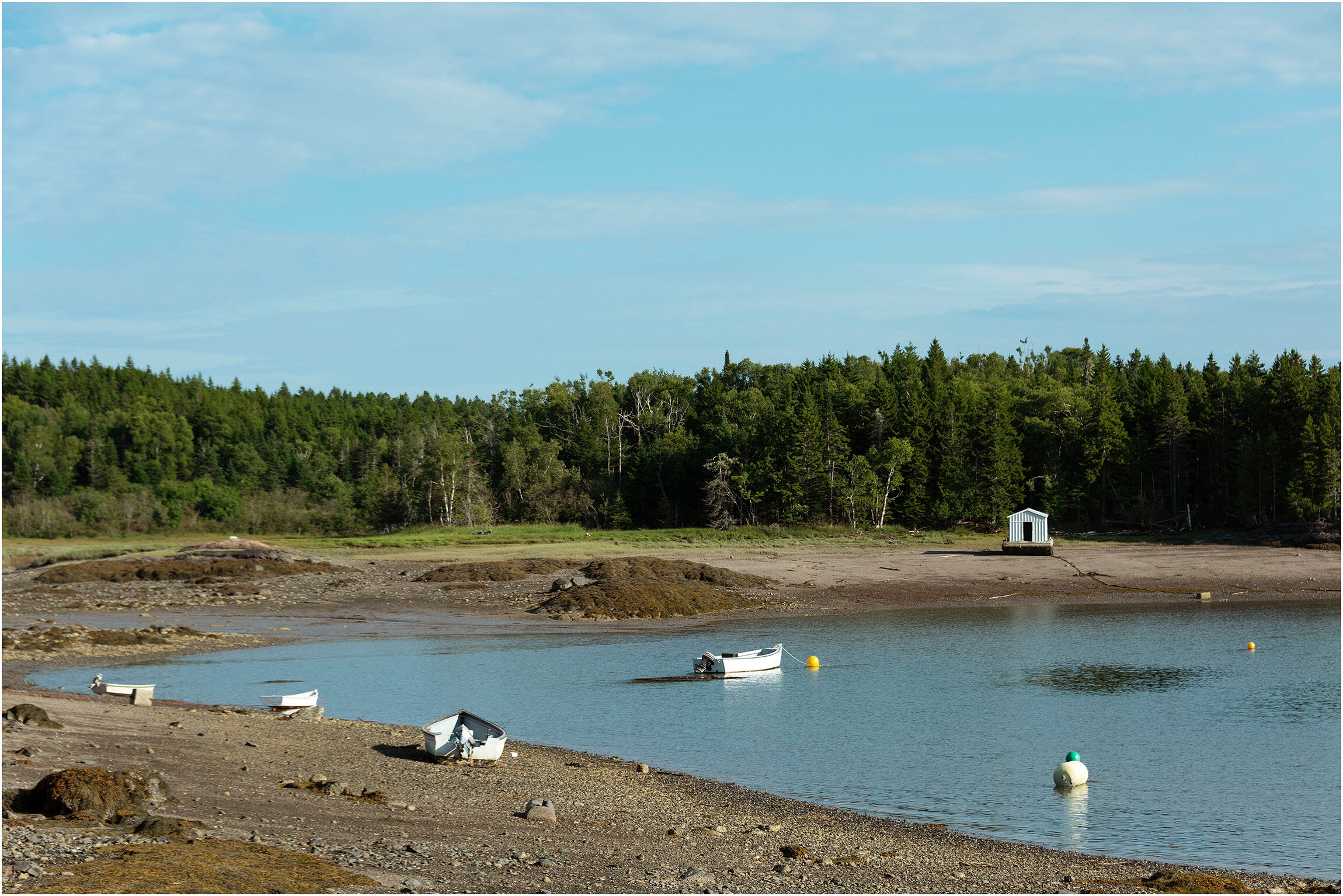 ©FianderFoto_New Brunswick Canada Photographer_047.jpg