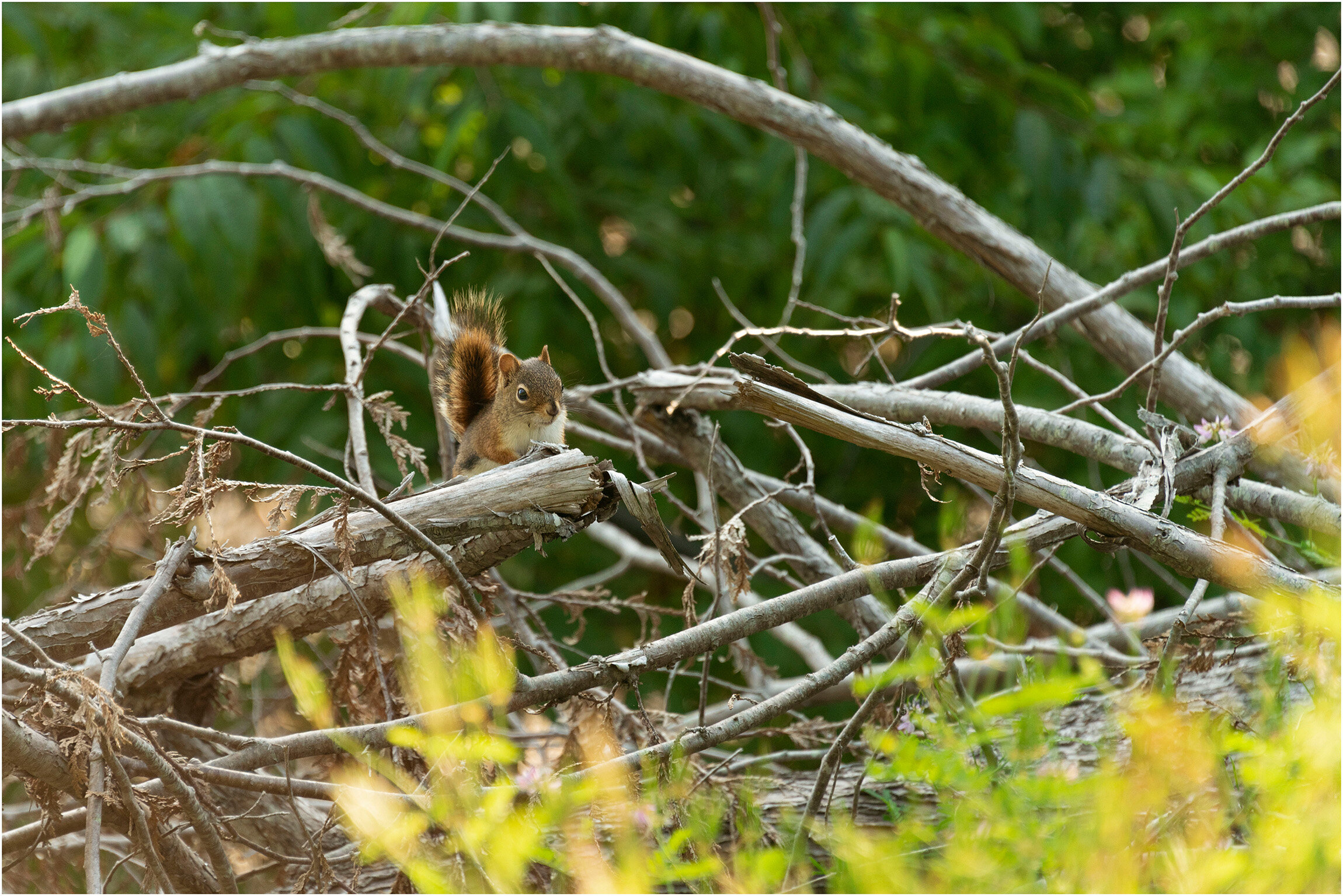 ©FianderFoto_New Brunswick Canada Photographer_073.jpg