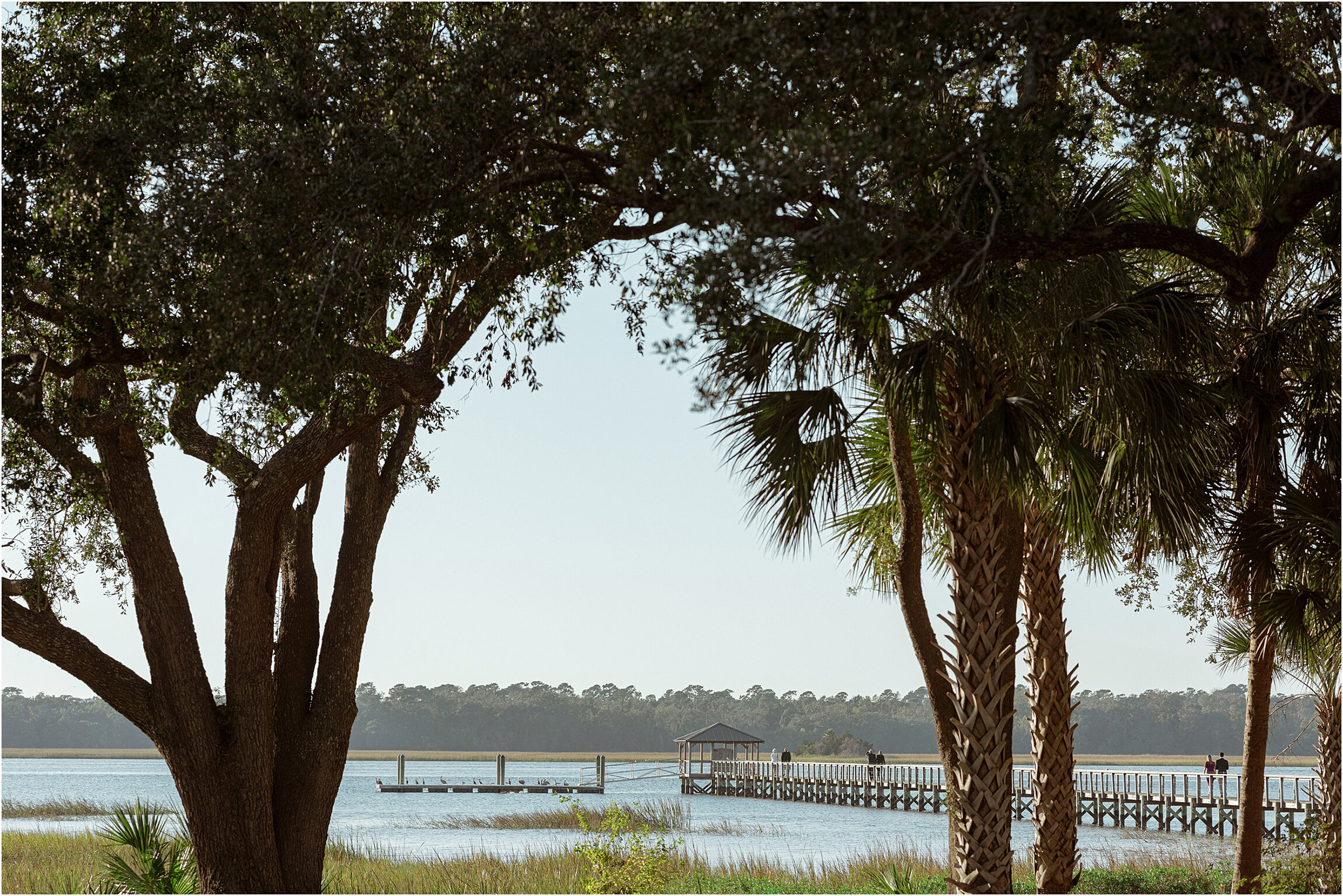 ©FianderFoto_Charleston South Carolina_Wedding Photographer_DD_156.jpg