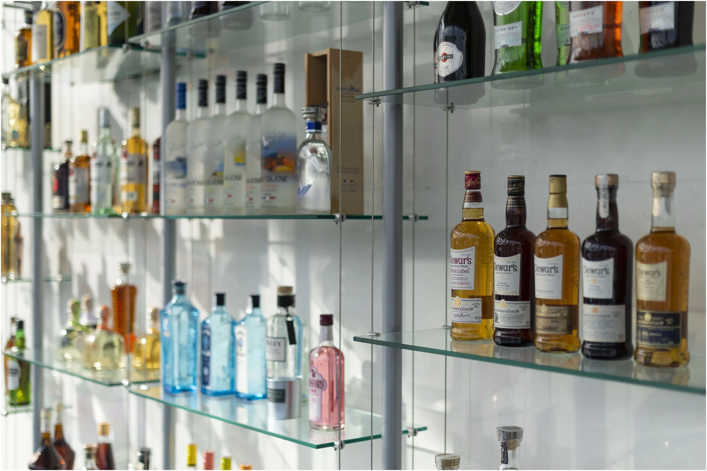 Editorial: Bacardi Limited