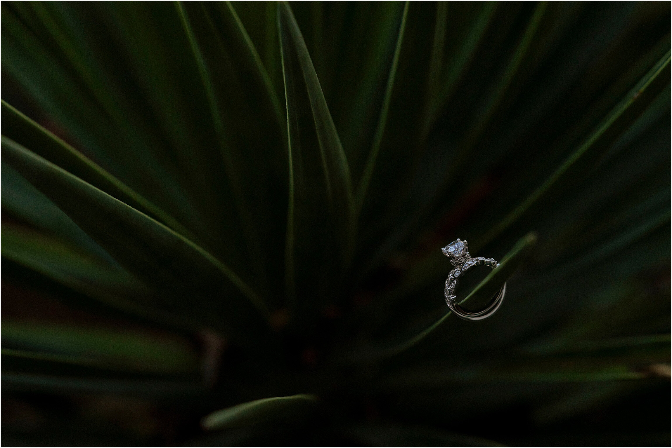 ©FianderFoto_Bermuda Engagement Photos_Hamilton Princess_031.jpg