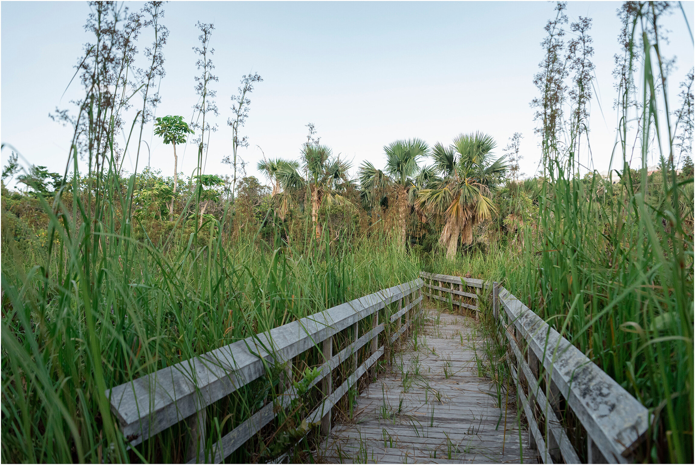 ©FianderFoto_Bermuda Photographer_014.jpg