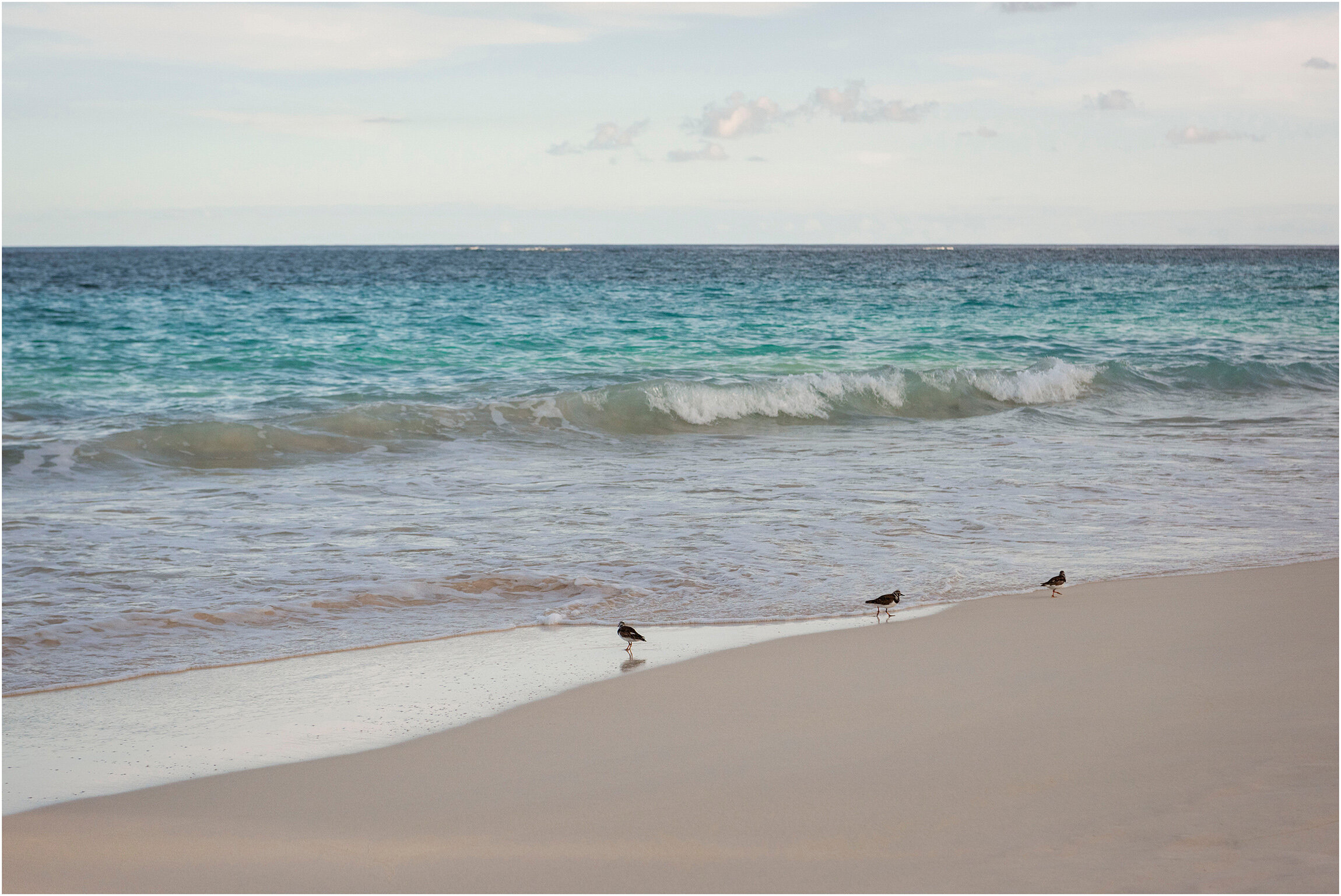 ©FianderFoto_Bermuda Photographer_019.jpg