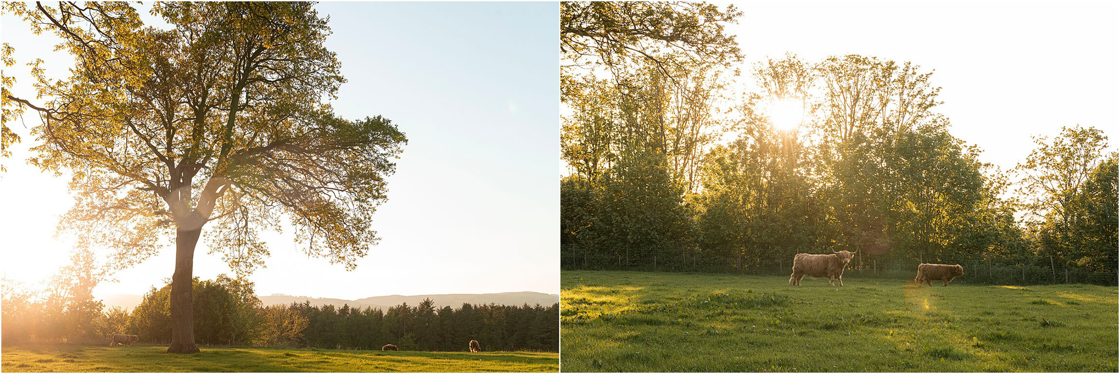 Scottish Wedding Photographer_FianderFoto_058.jpg