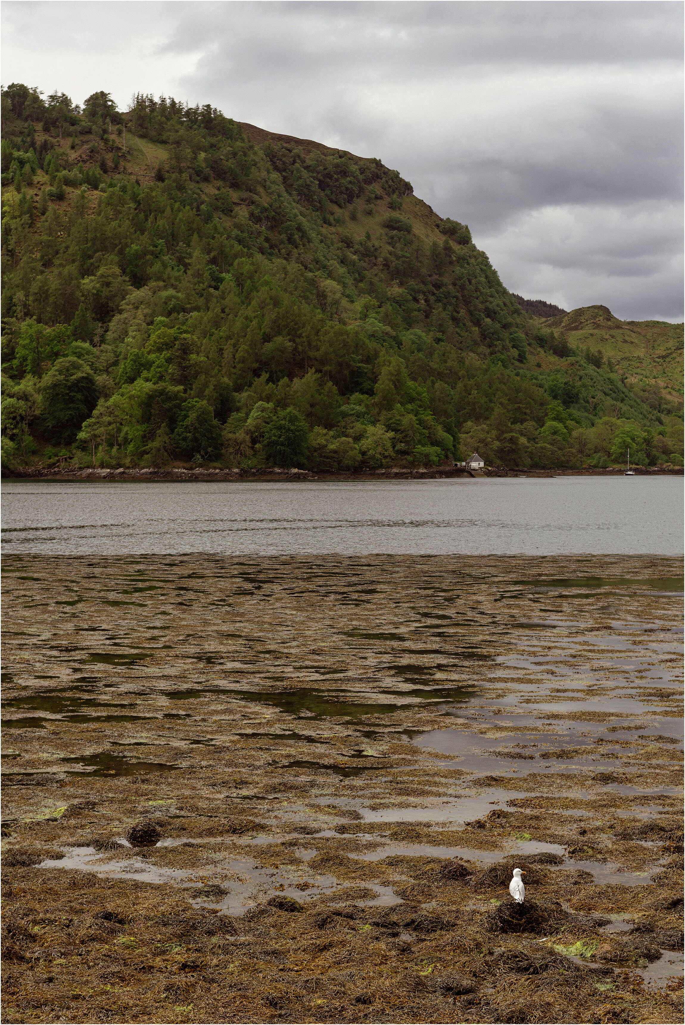 Scottish Wedding Photographer_FianderFoto_113.jpg