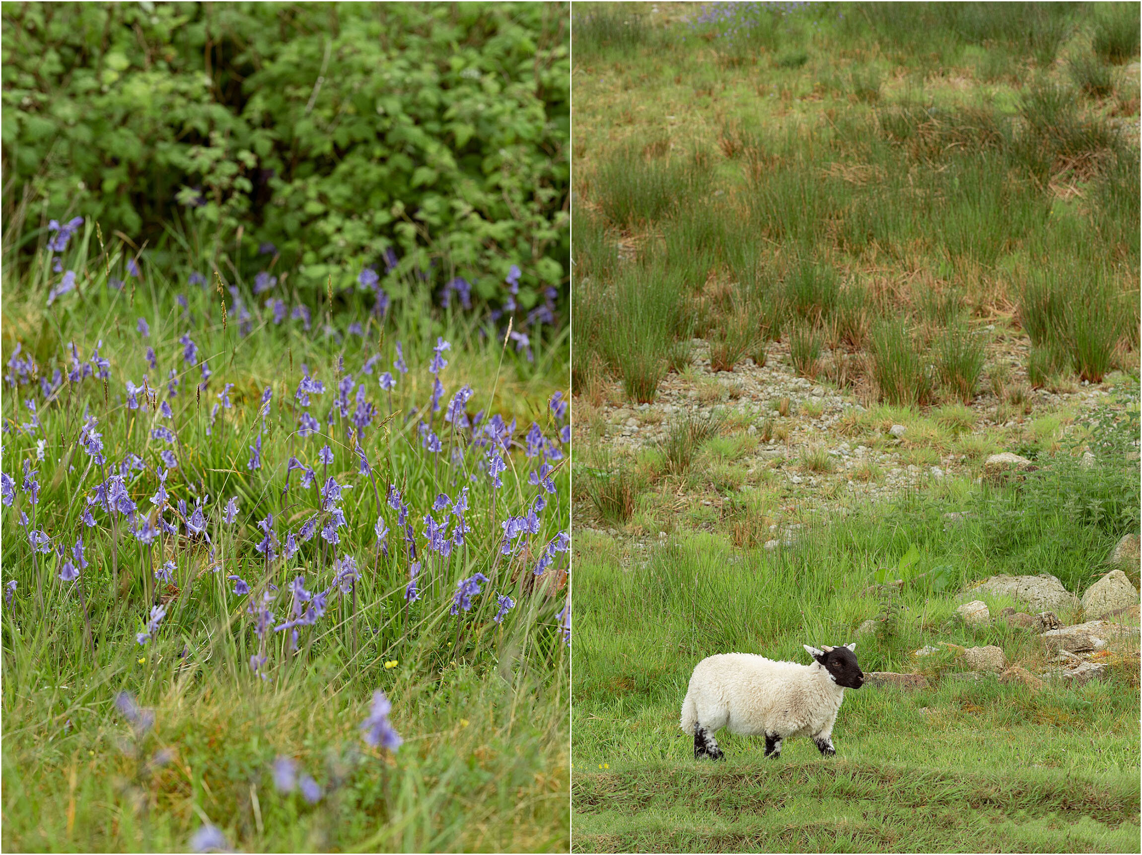 Scottish Wedding Photographer_FianderFoto_123.jpg