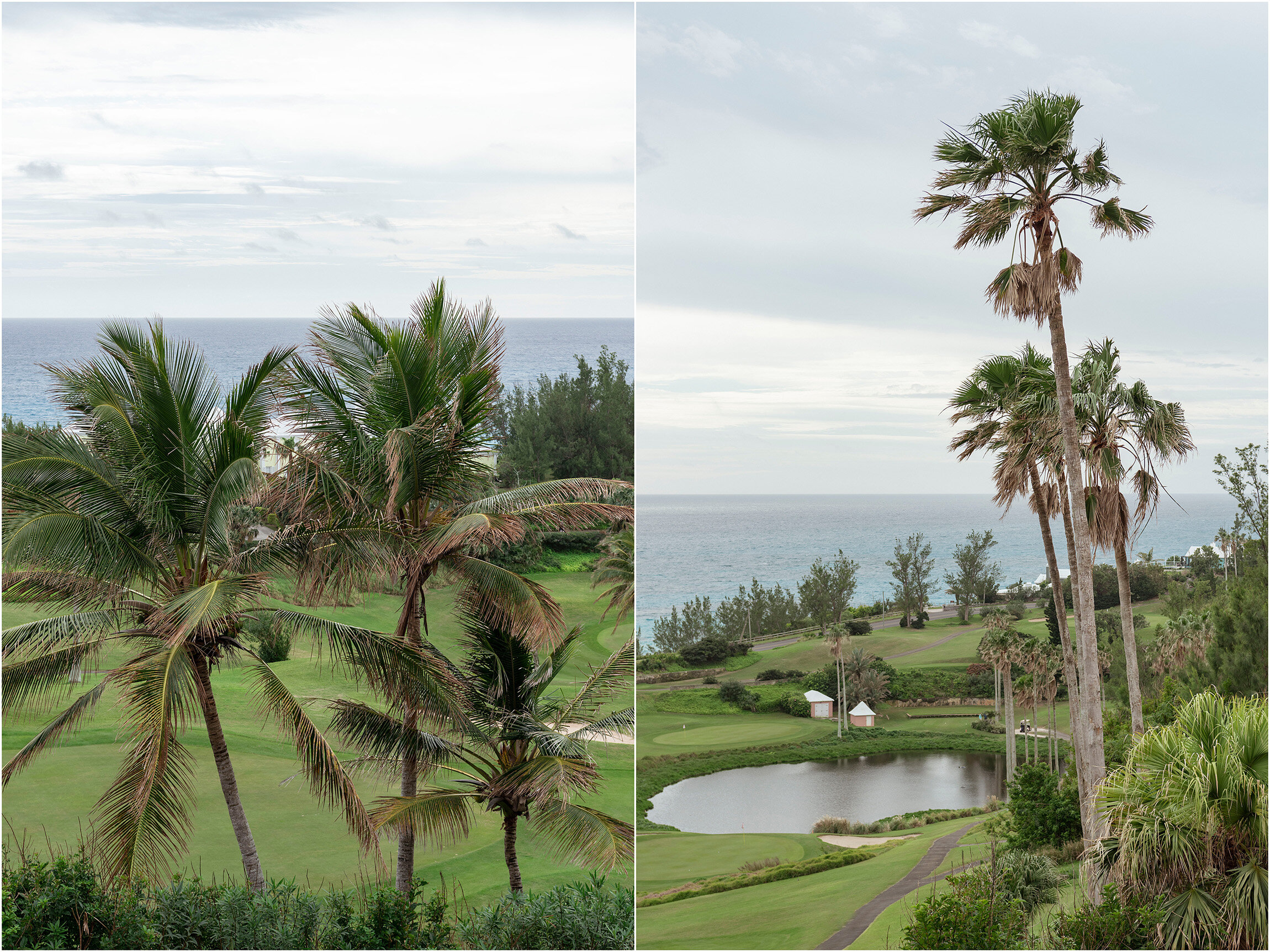 Bermuda Aquarium Wedding_©FianderFoto_001.jpg