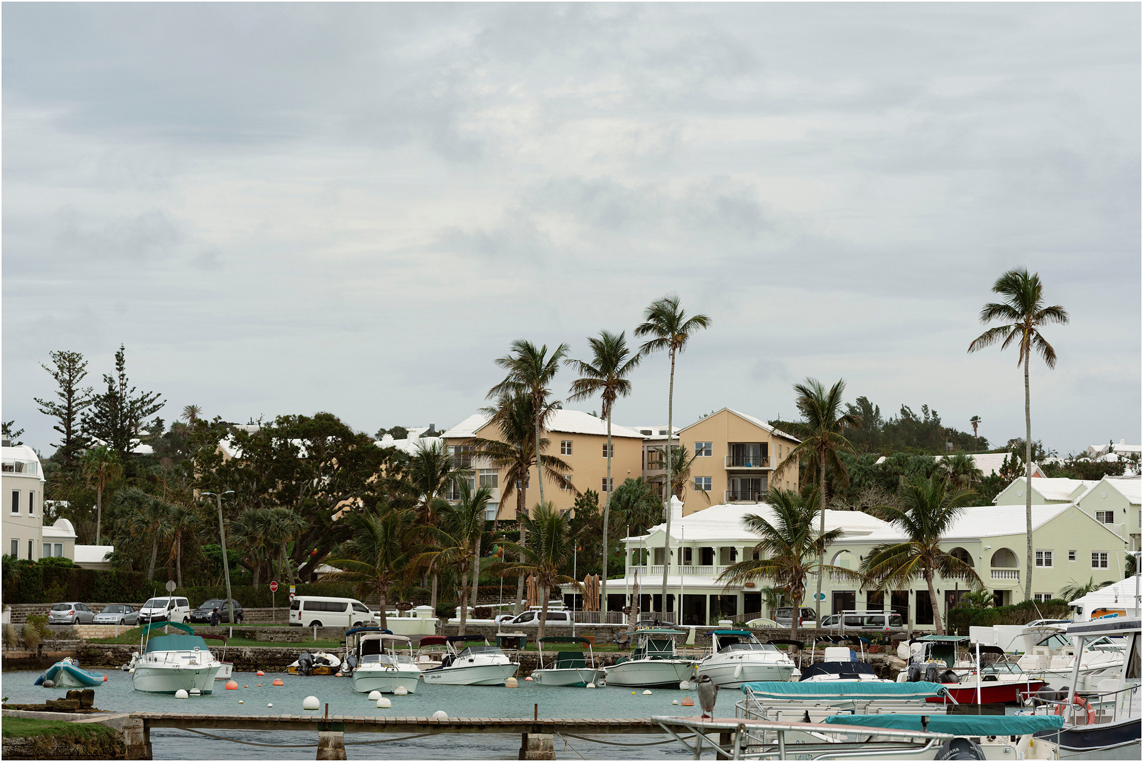 Bermuda Aquarium Wedding_©FianderFoto_043.jpg