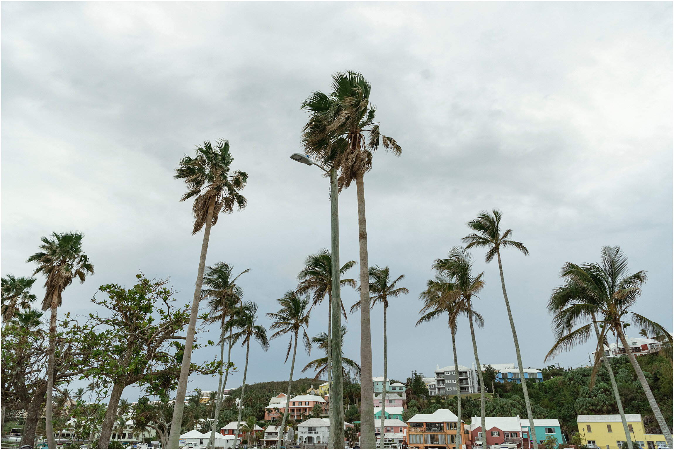 Bermuda Aquarium Wedding_©FianderFoto_051.jpg