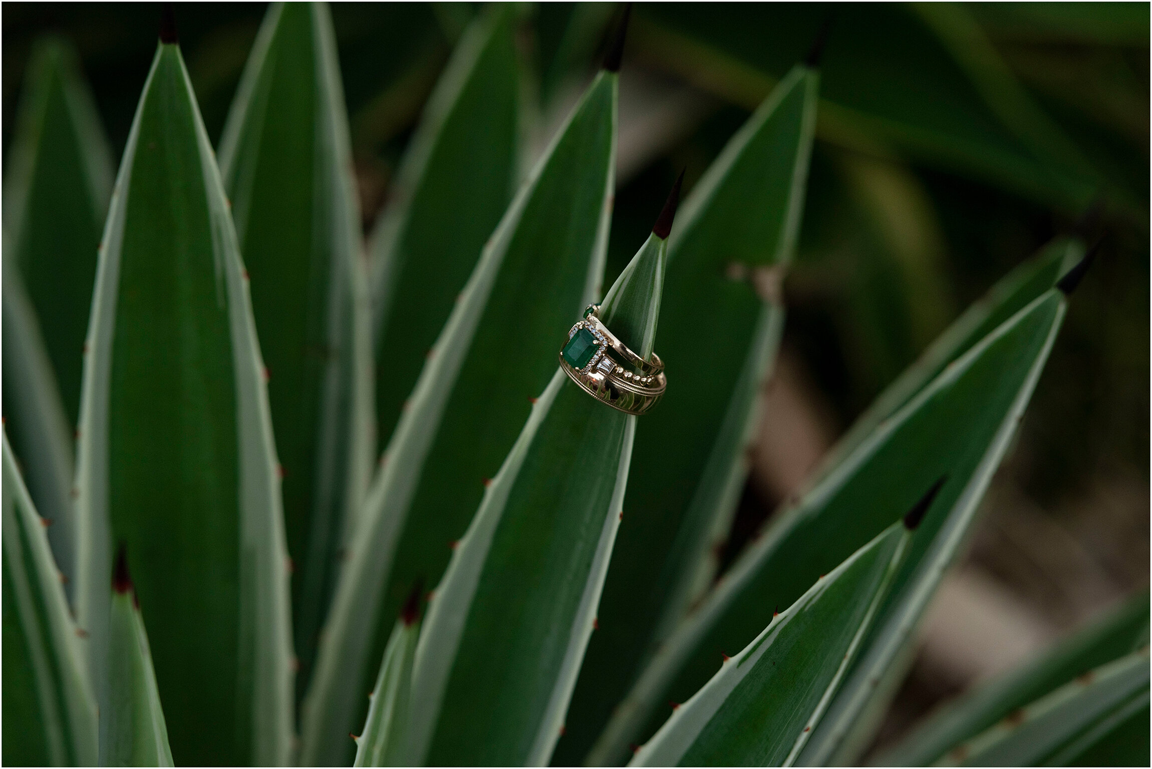 Bermuda Wedding Dockyard_Photographer_Elenae_Jason_073.jpg