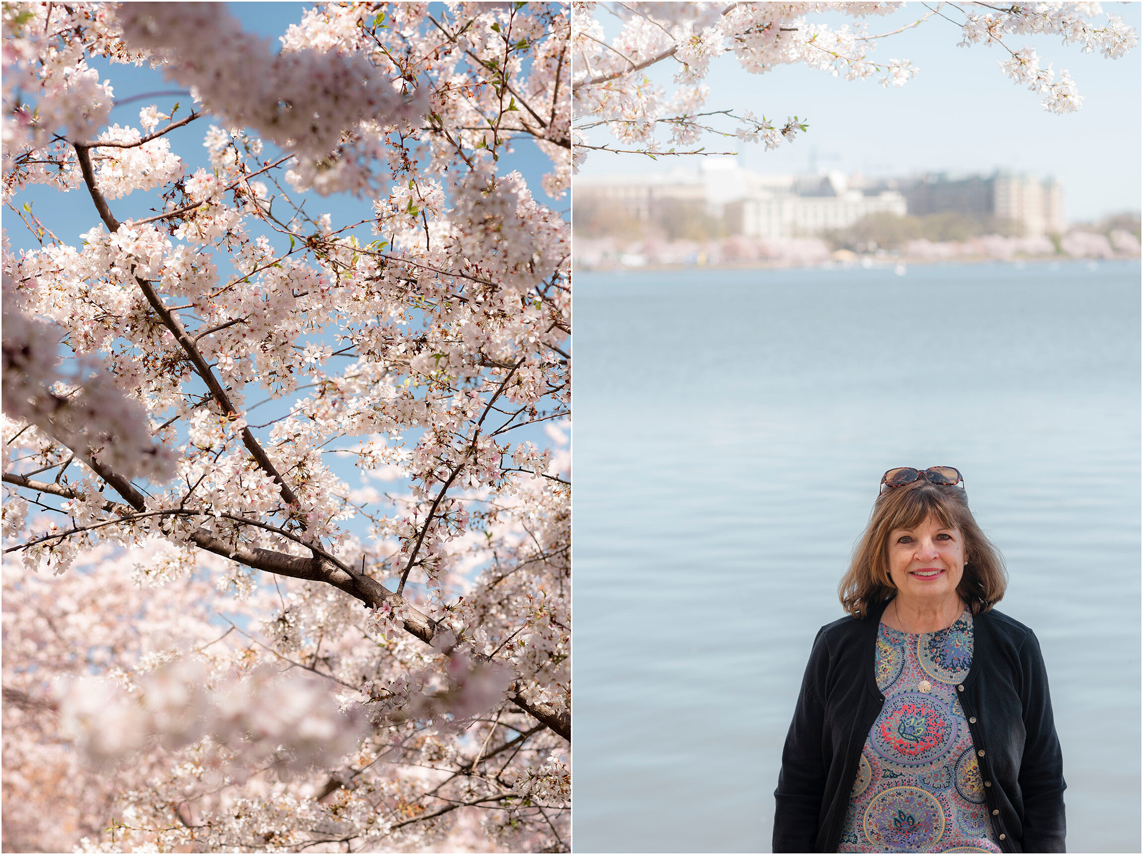 Washington DC Photographer_Cherry Blossoms_©FianderFoto_015.jpg