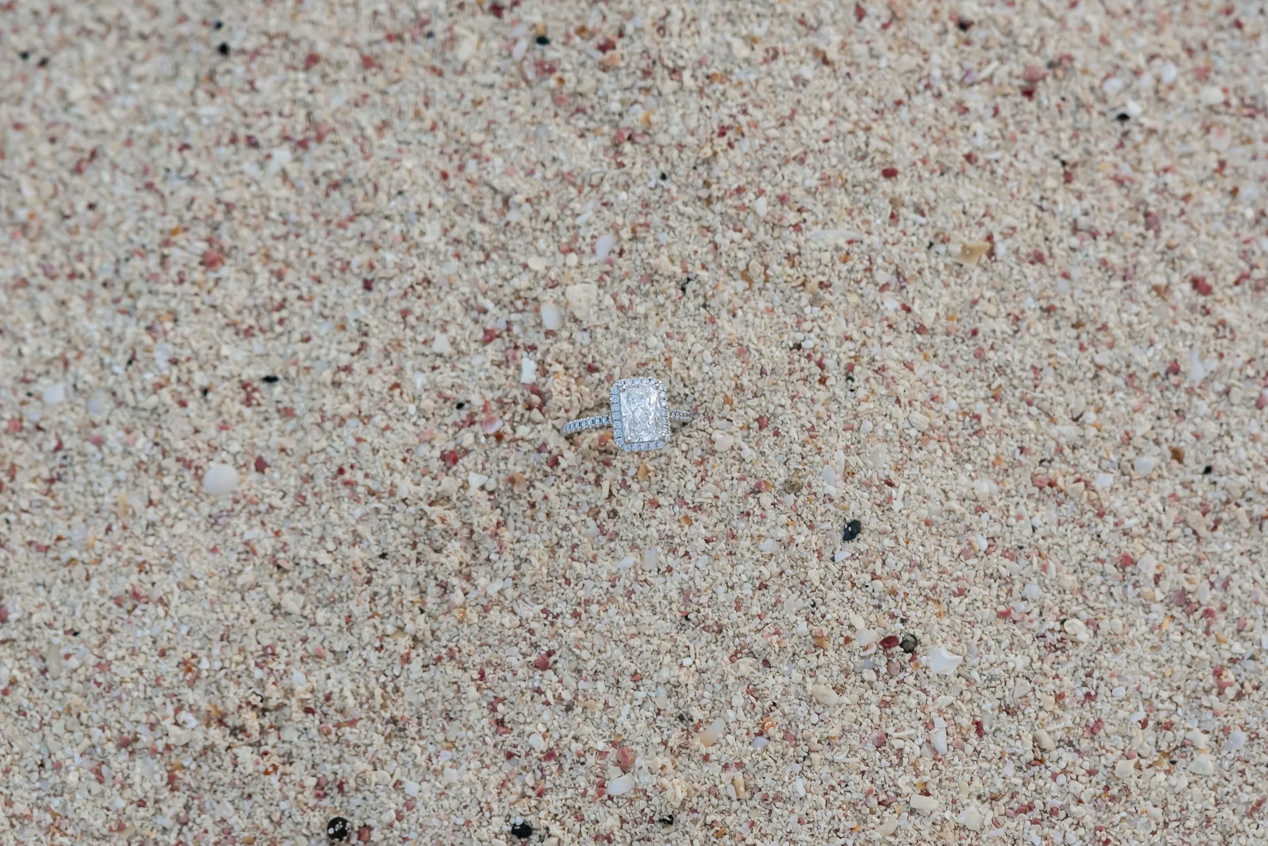 Bermuda's Pink Sand: Fact vs. Fiction