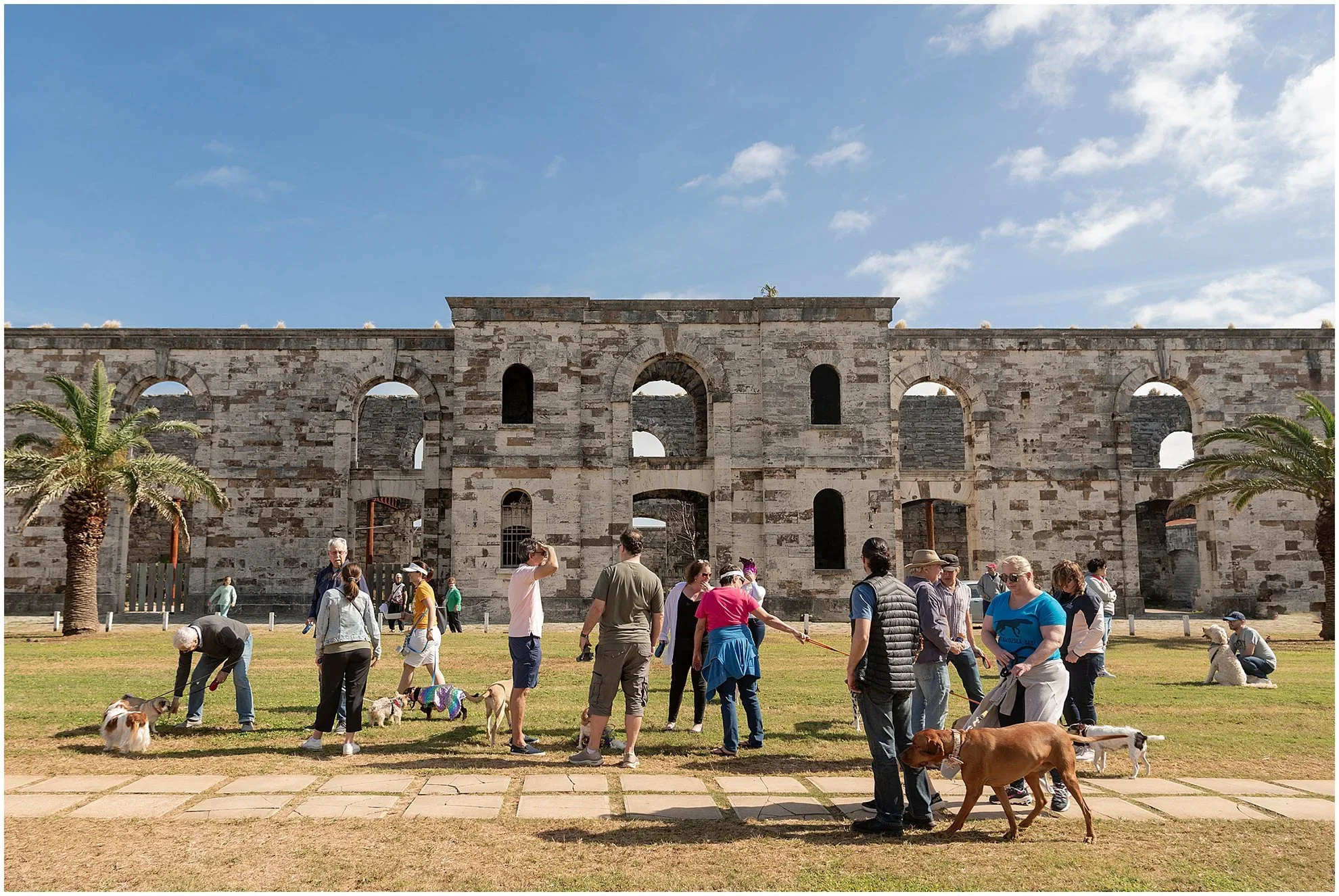 Bermuda+Puppy+Parade+for+Pads+Pass_Dockyard+Bermuda_©FianderFoto_002.webp